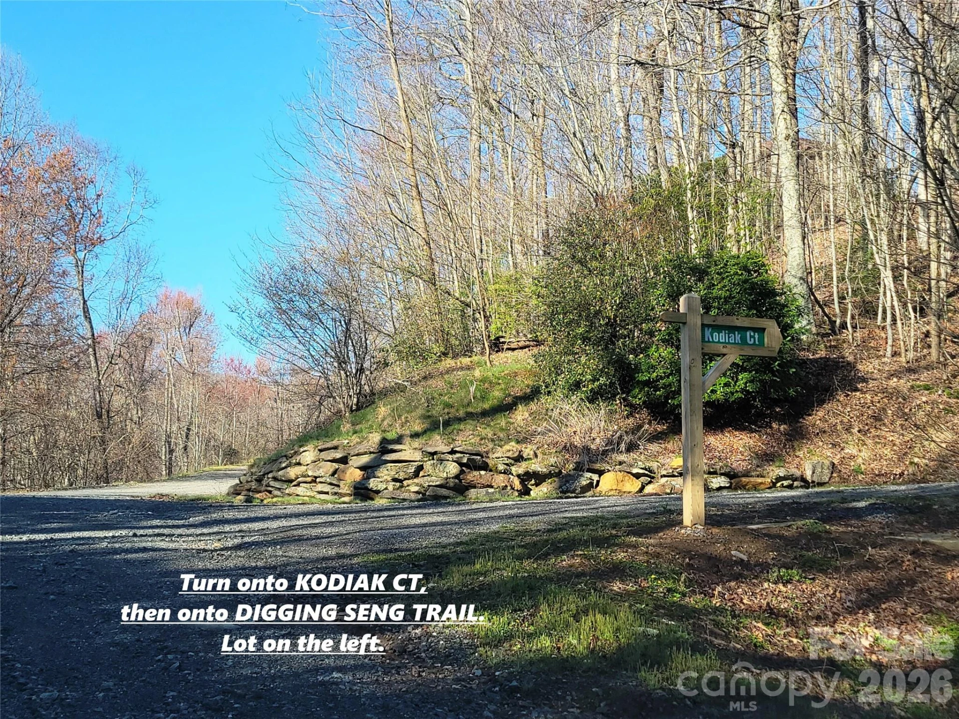 111 Digging Seng Trail #138 - Photo 19