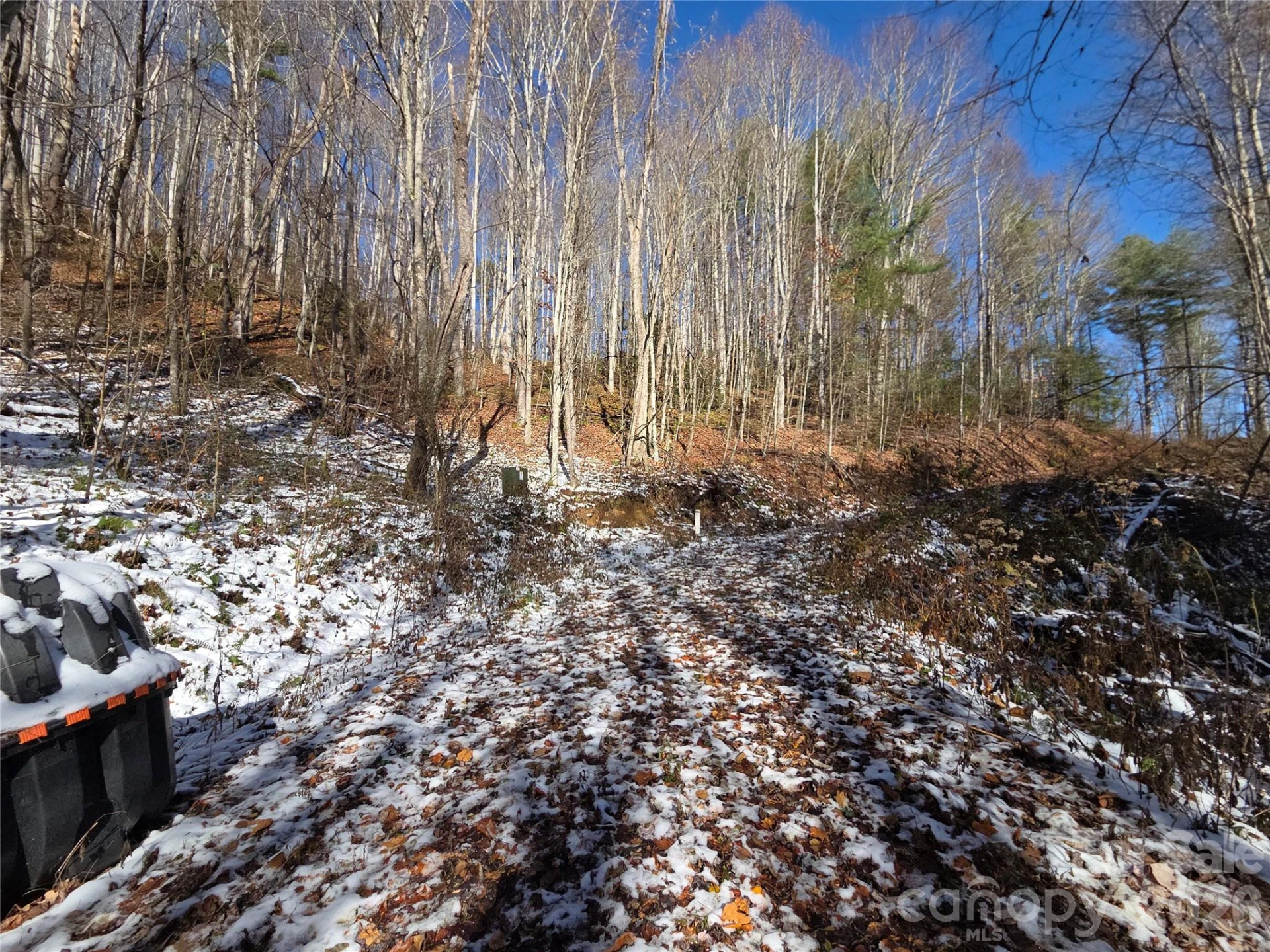 111 Digging Seng Trail #138 - Photo 21