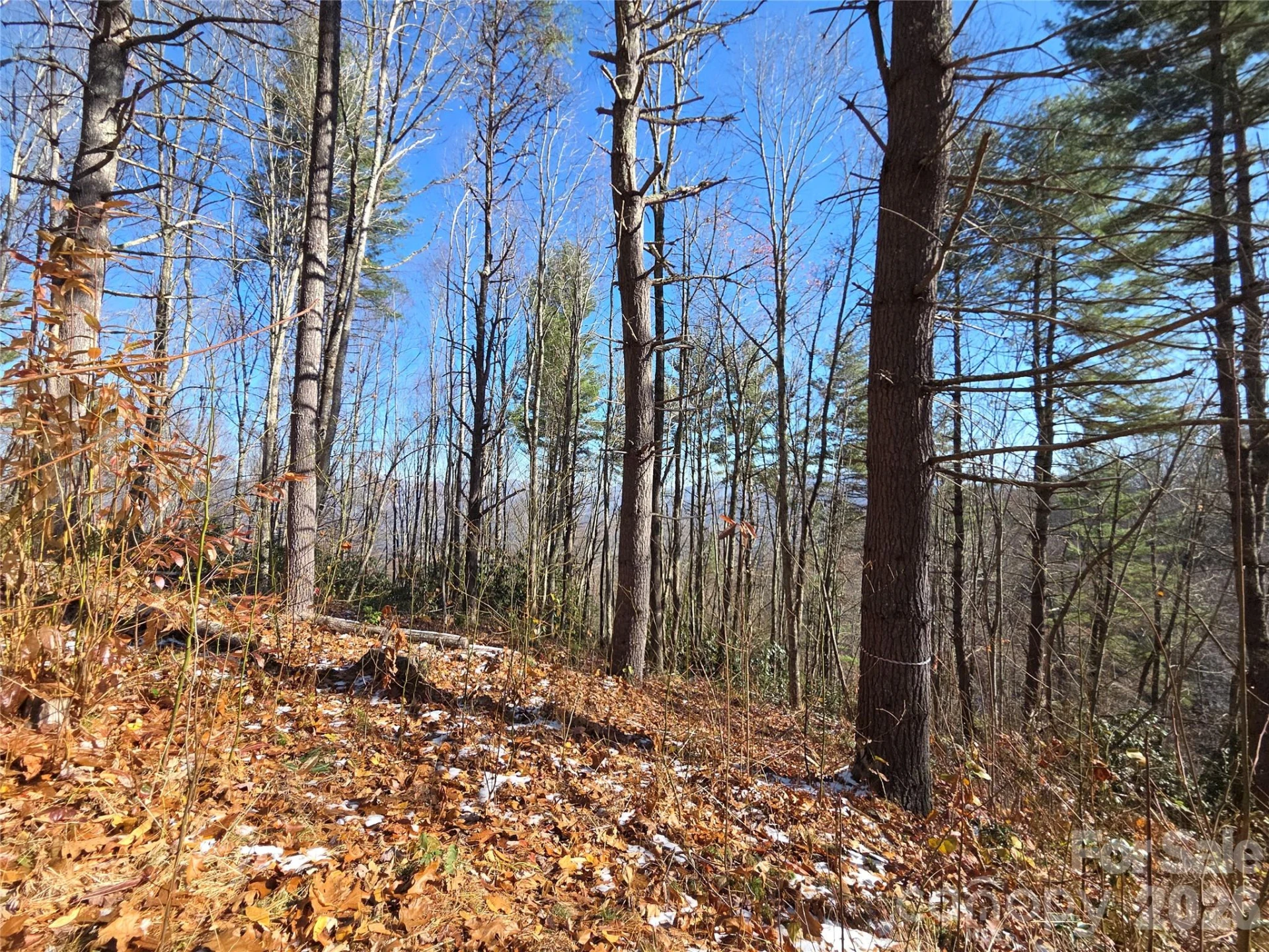 111 Digging Seng Trail #138 - Photo 22