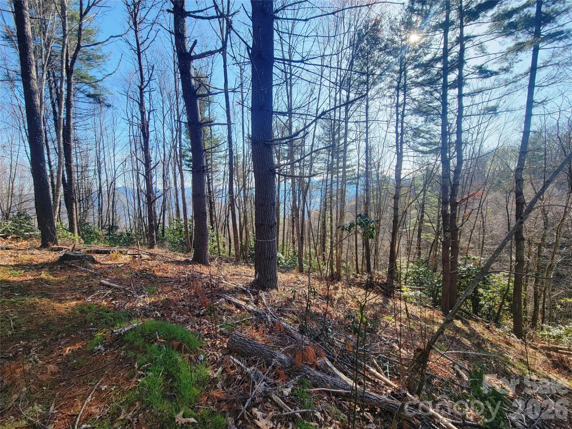 111 Digging Seng Trail #138 - Photo 3