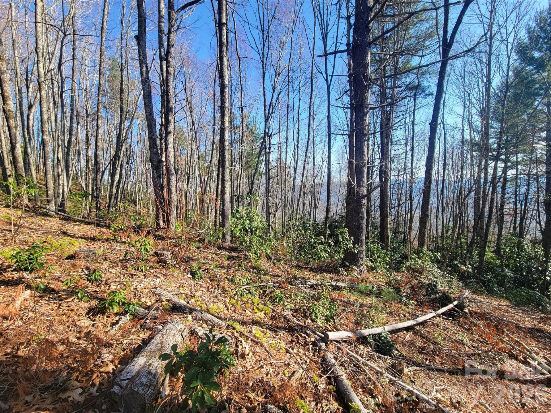 111 Digging Seng Trail #138 - Photo 10