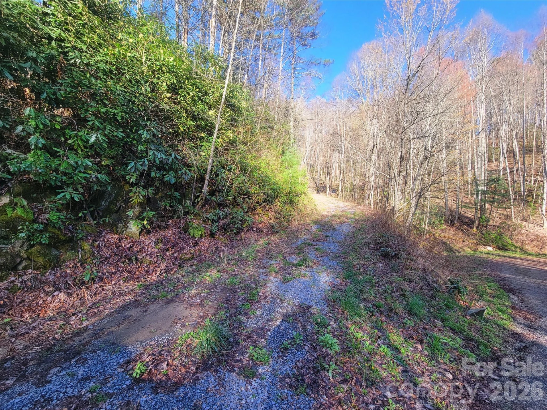 111 Digging Seng Trail #138 - Photo 11