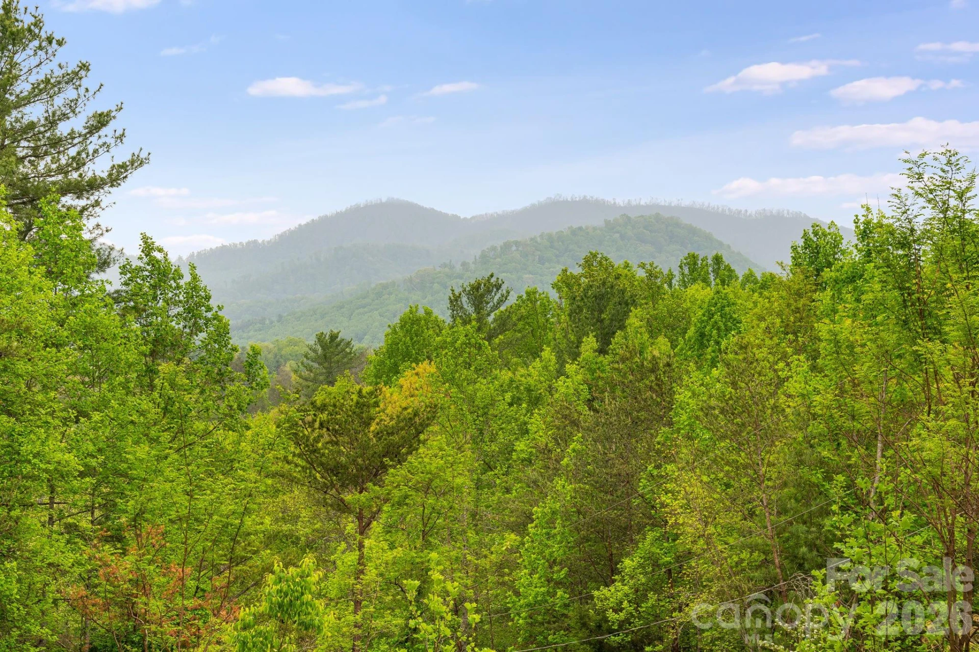 90 High Point Road - Photo 5