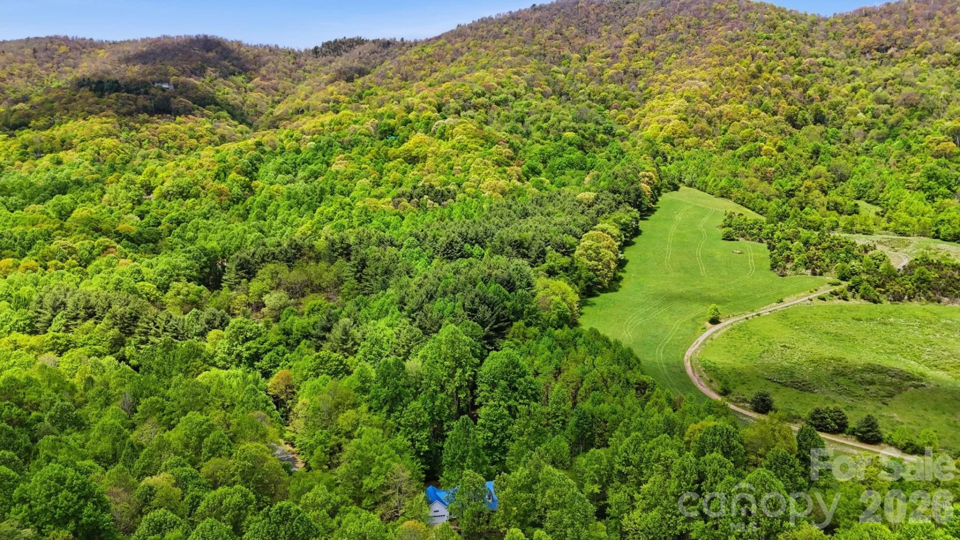 438 Serenity Mountain Road - Photo 46