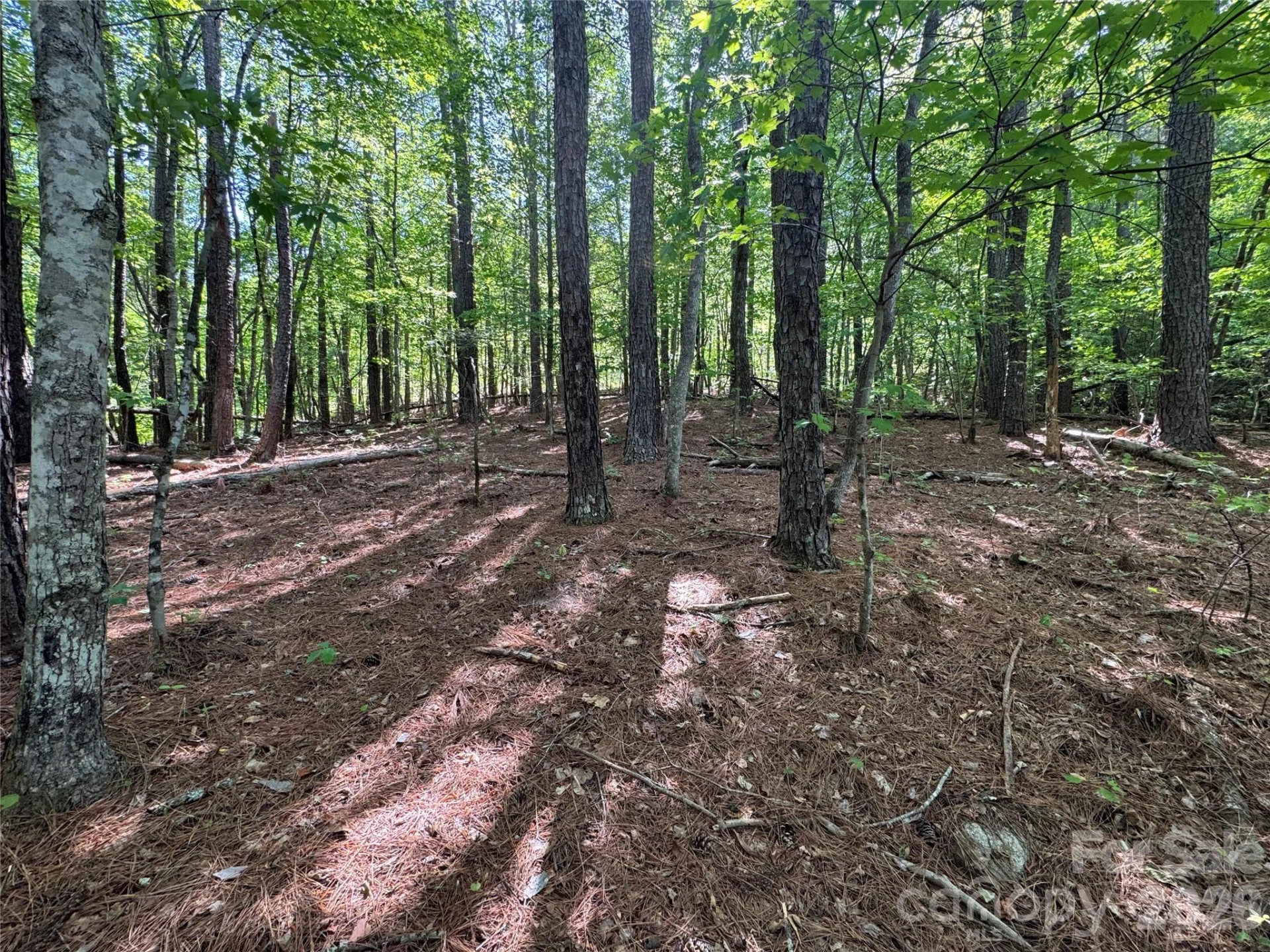 0 Island Creek Road #1 - Photo 2