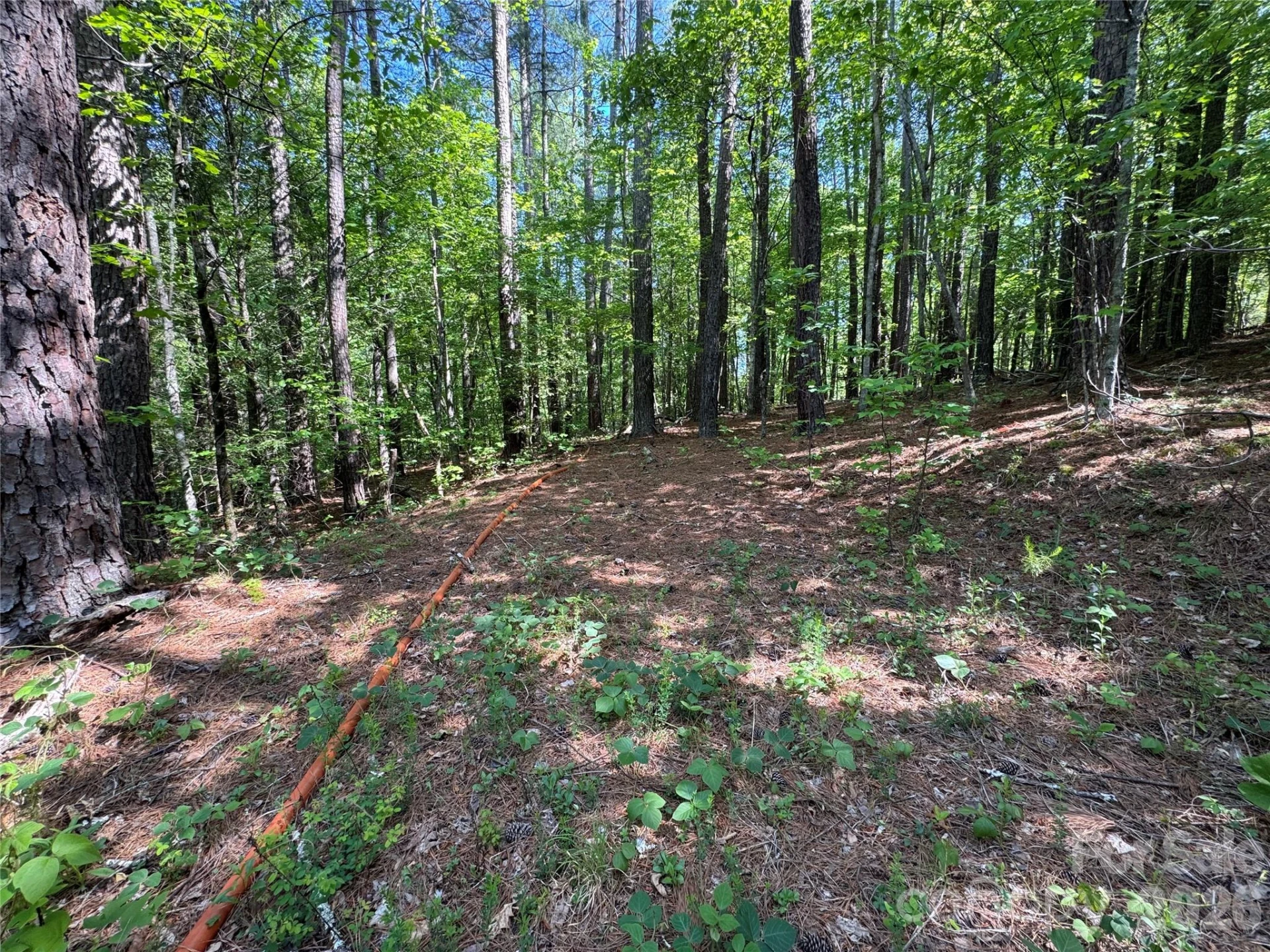 0 Island Creek Road #1 - Photo 4