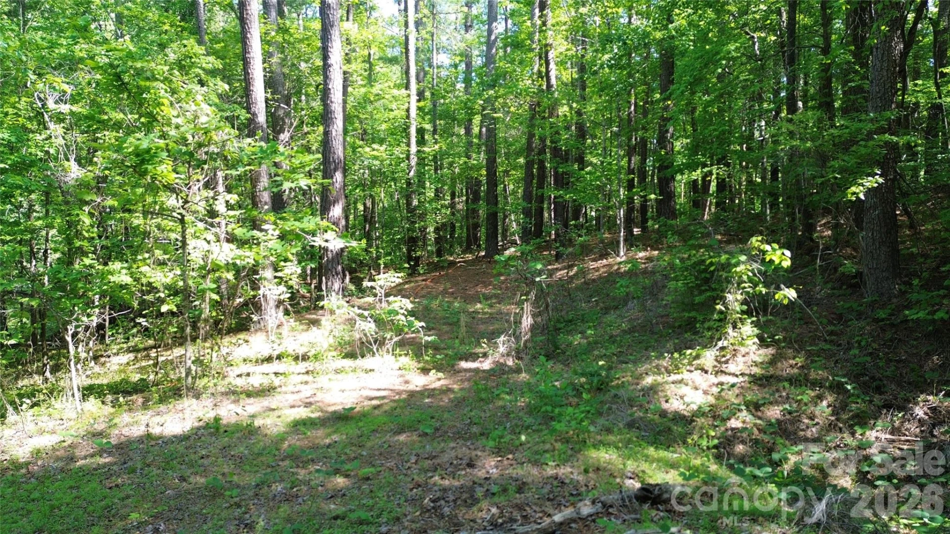 0 Island Creek Road #1 - Photo 5