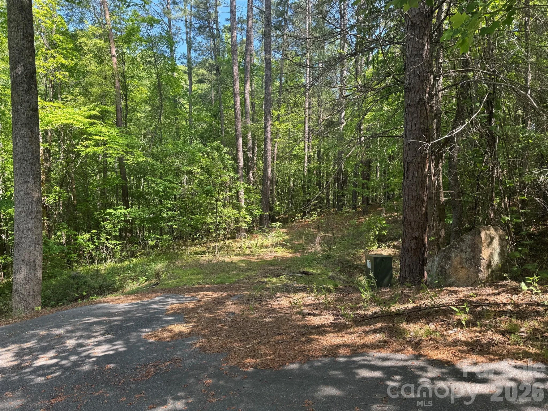 0 Island Creek Road #1 - Photo 6
