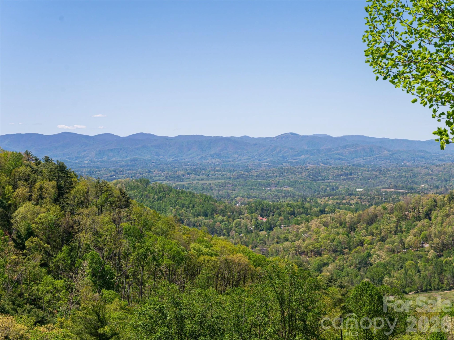 32 Timberwolf Court - Photo 3
