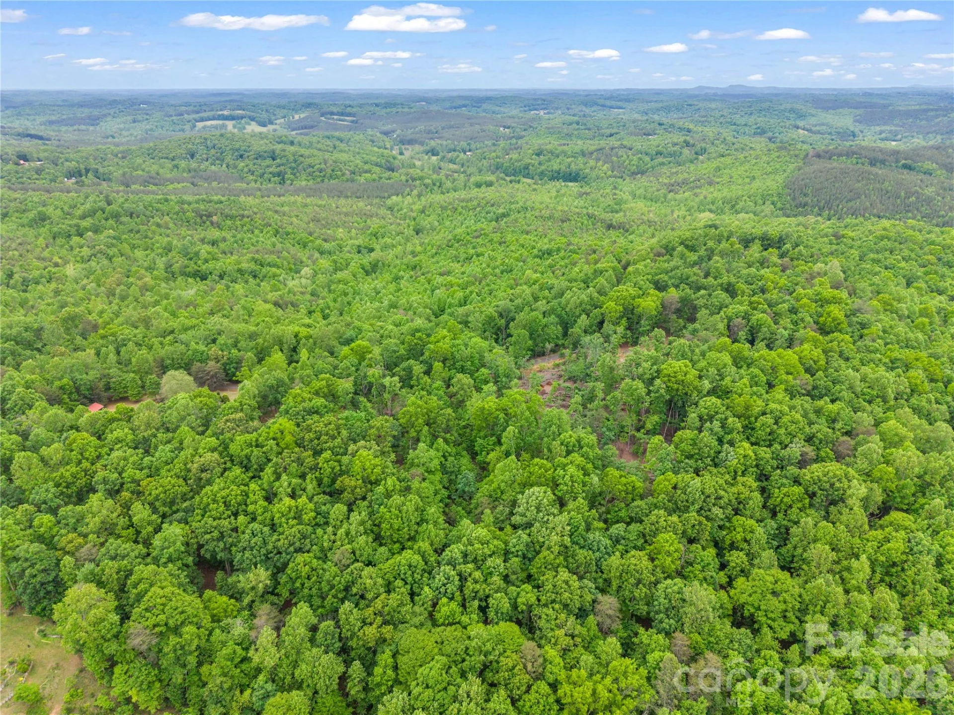 0 Wilderness Ridge - Photo 12