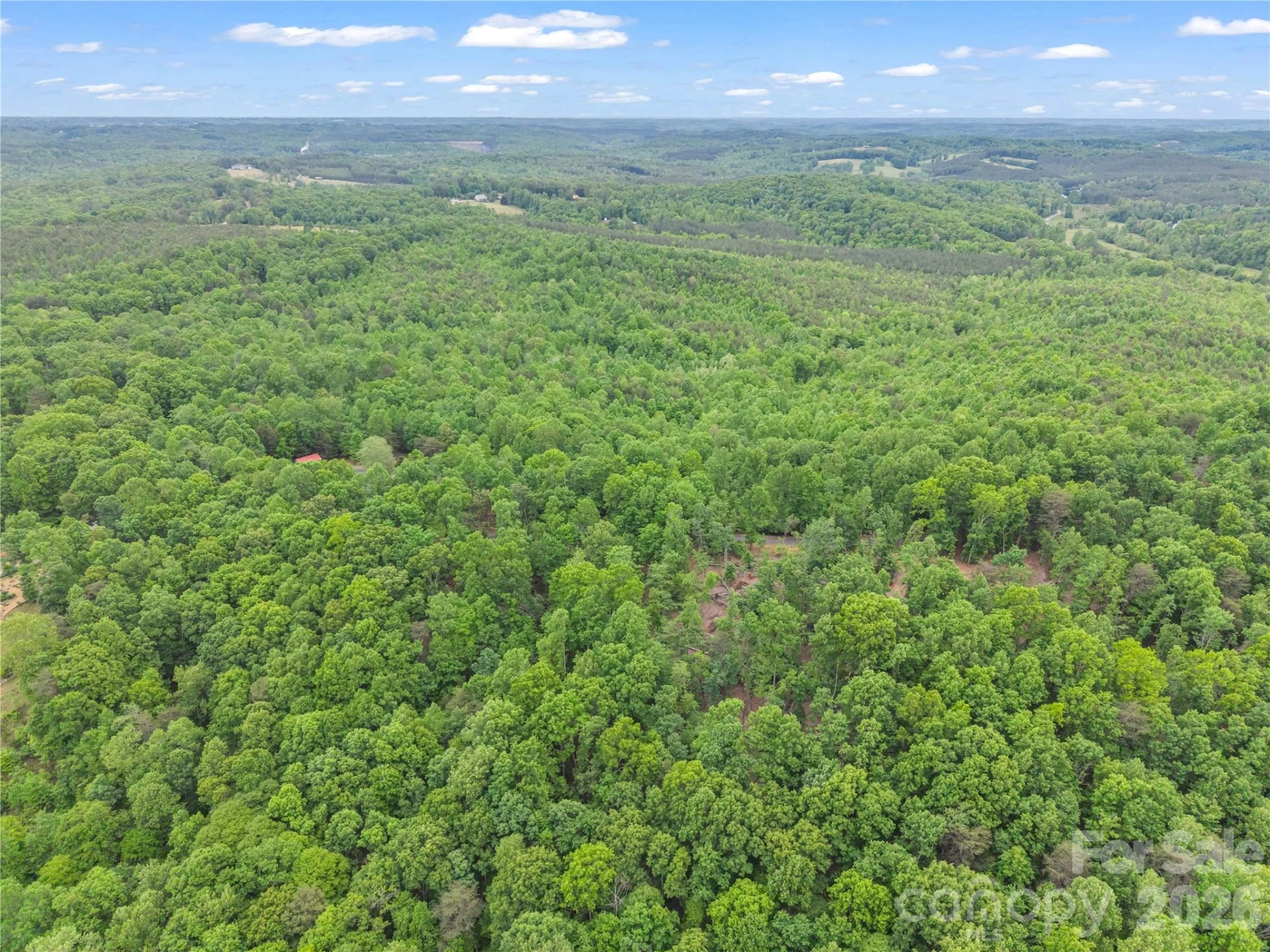 0 Wilderness Ridge - Photo 13