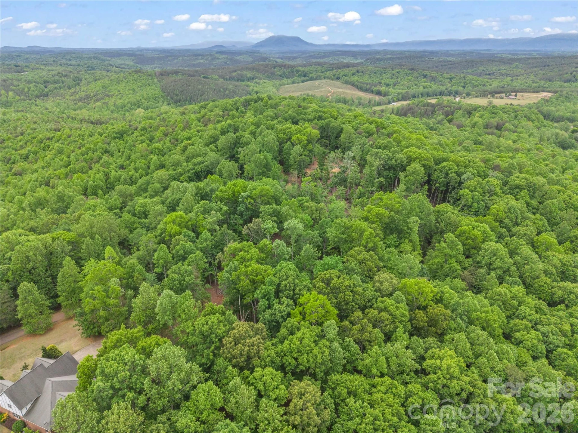 0 Wilderness Ridge - Photo 19