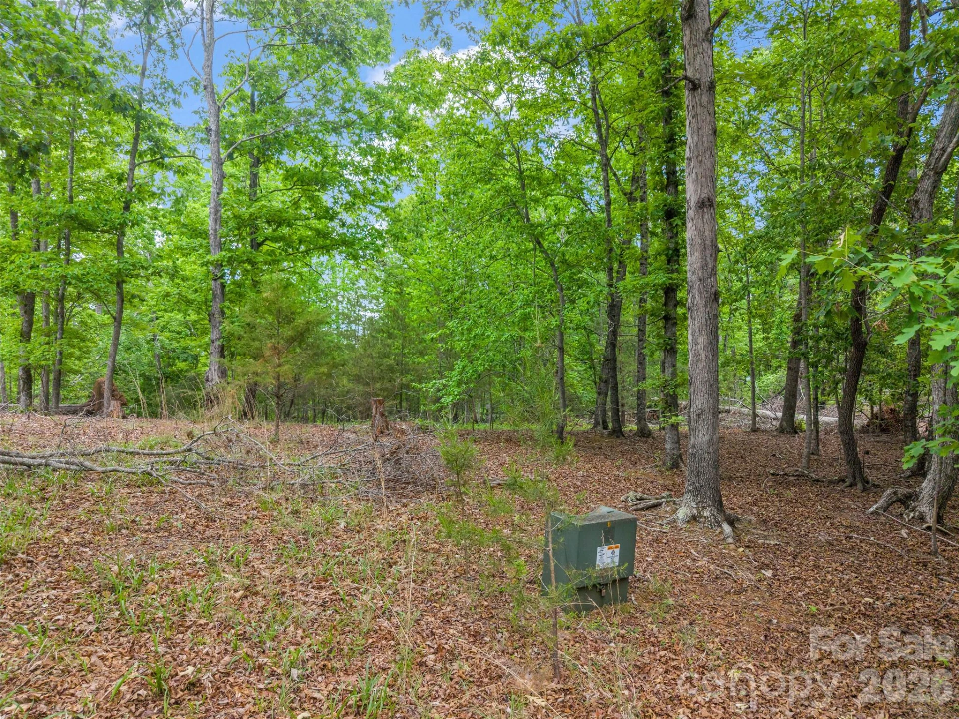 0 Wilderness Ridge - Photo 4