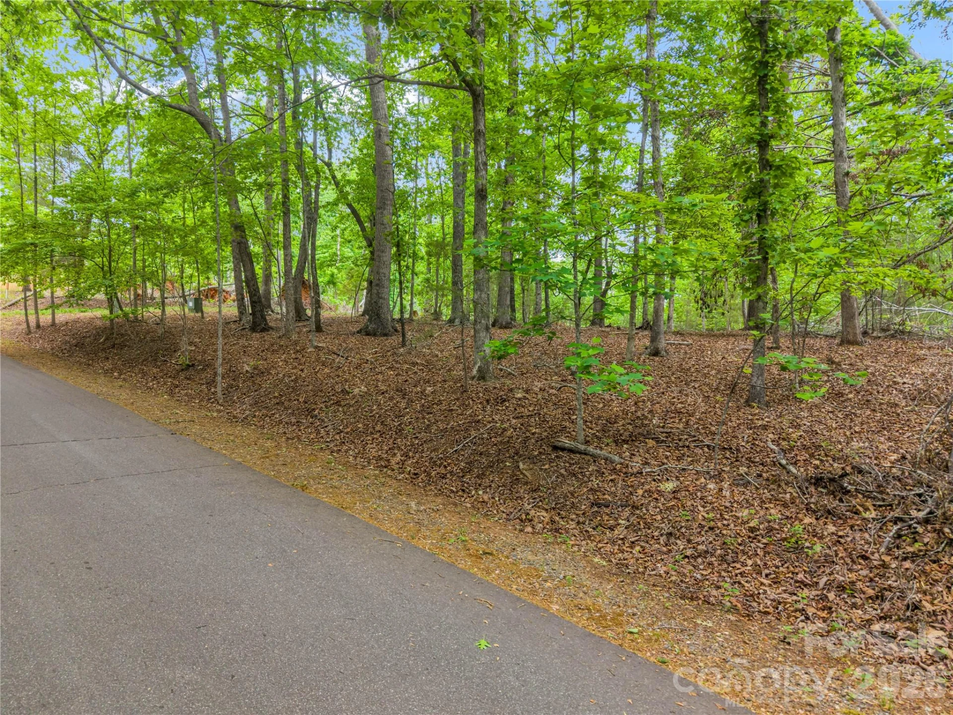 0 Wilderness Ridge - Photo 5