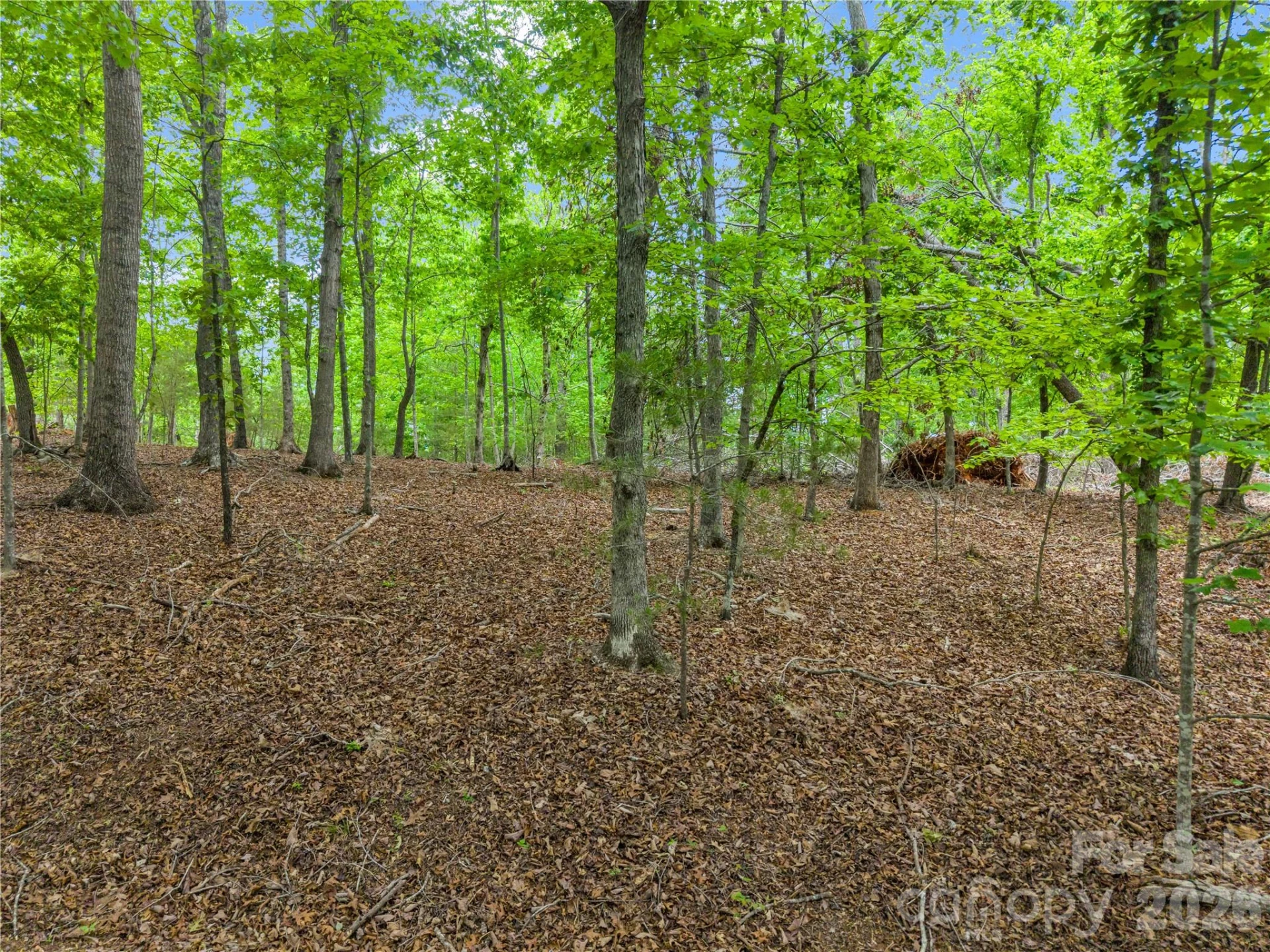 0 Wilderness Ridge - Photo 6