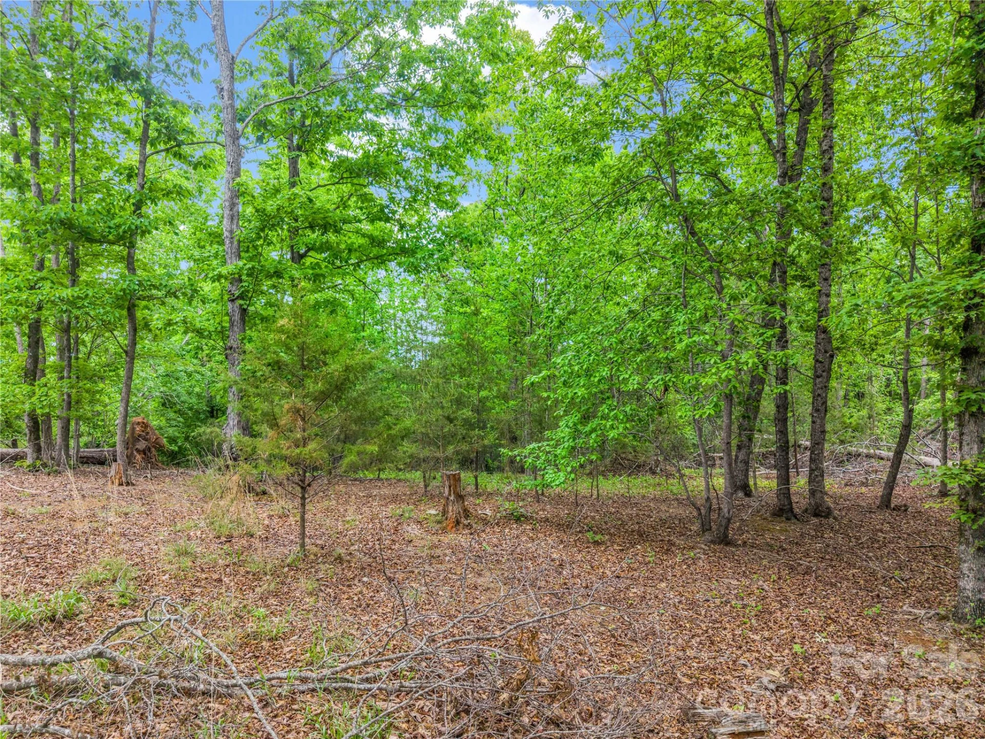 0 Wilderness Ridge - Photo 7