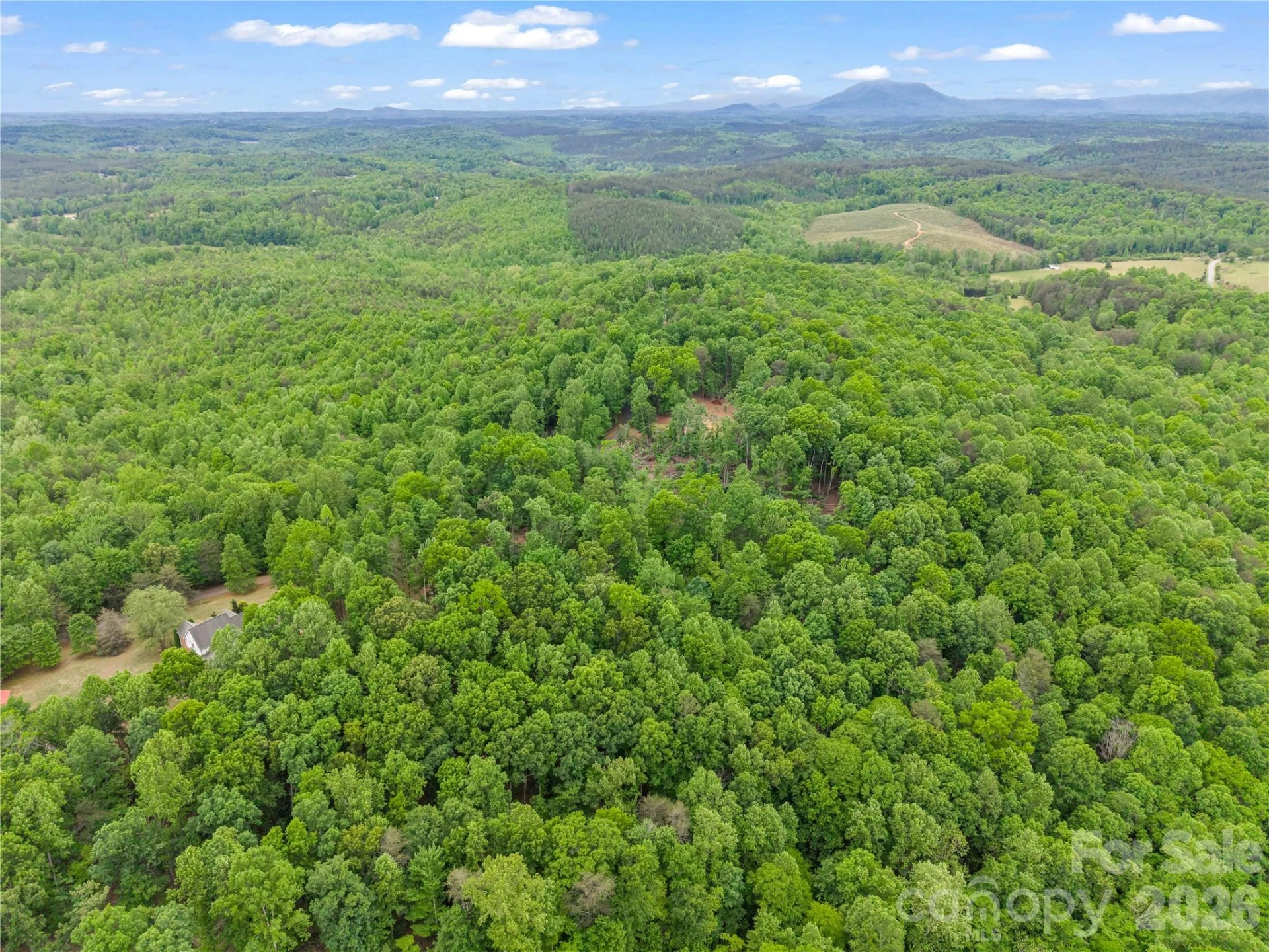 0 Wilderness Ridge - Photo 10