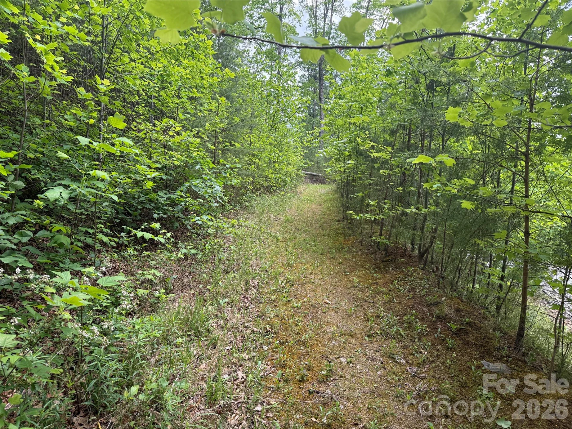 270 Rock Ledge Drive #270 - Photo 4