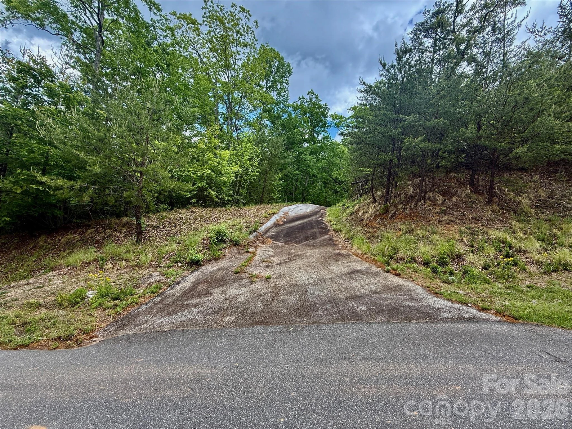 274 Bills Mountain Trail #274 - Photo 4