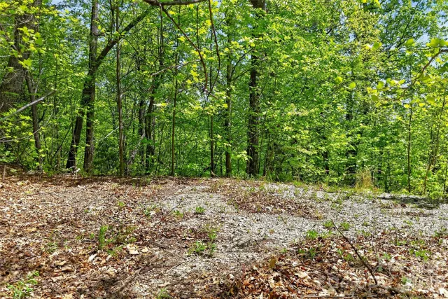 0 Bobcat Drive, Old Fort, NC, 28762