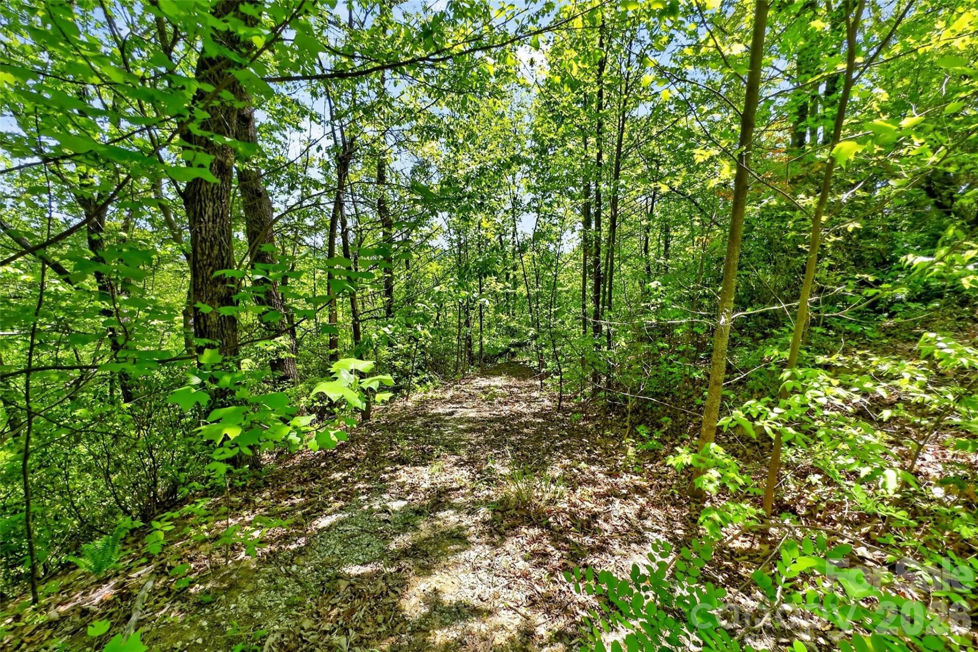 0 Bobcat Drive #741 - Photo 18