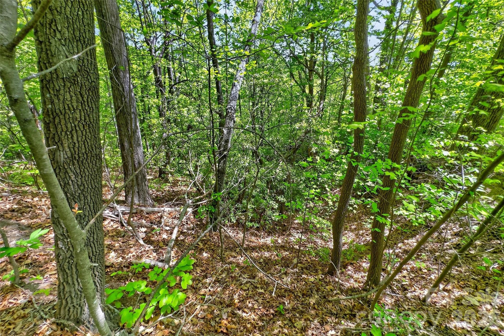 0 Bobcat Drive #741 - Photo 20