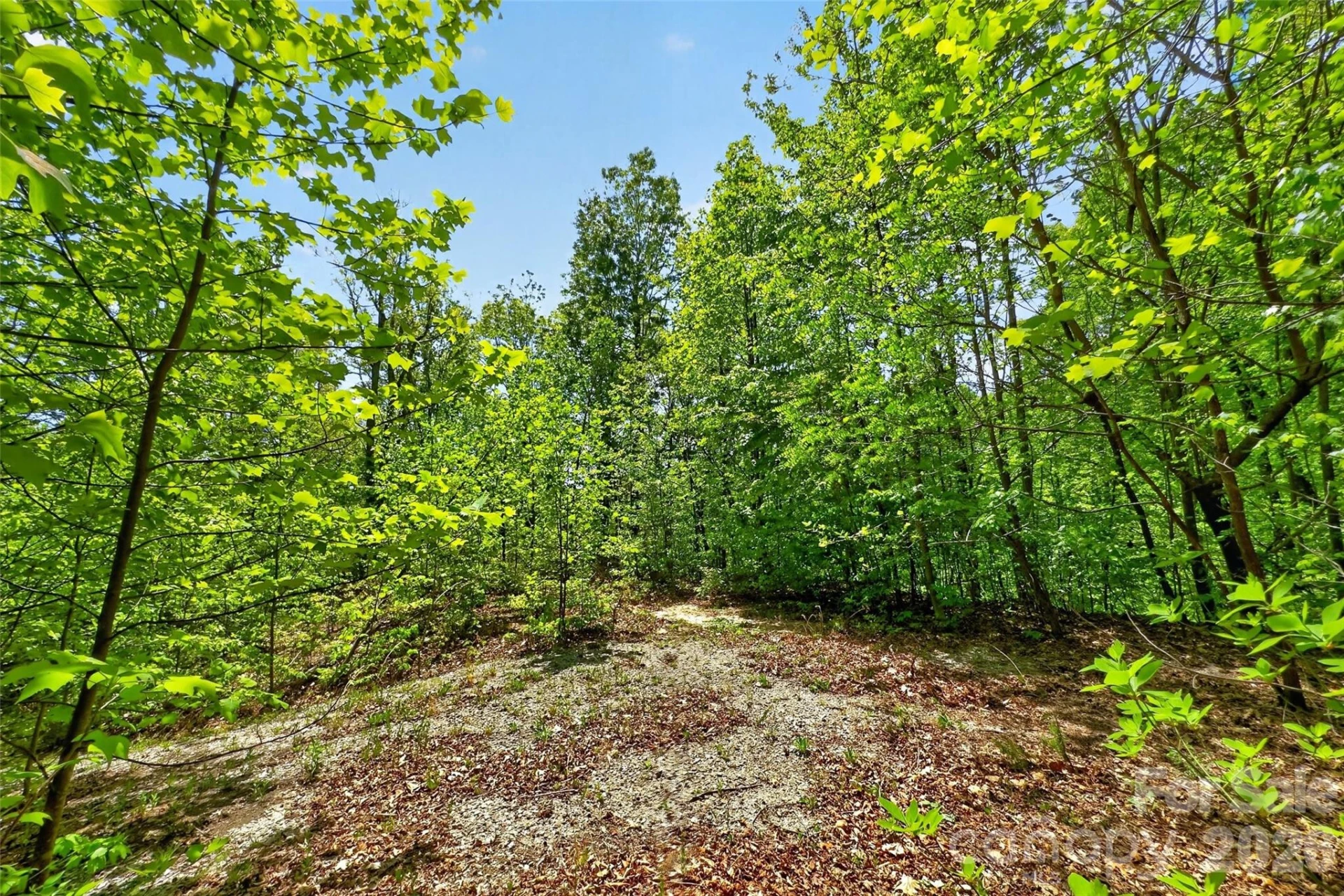 0 Bobcat Drive #741 - Photo 3