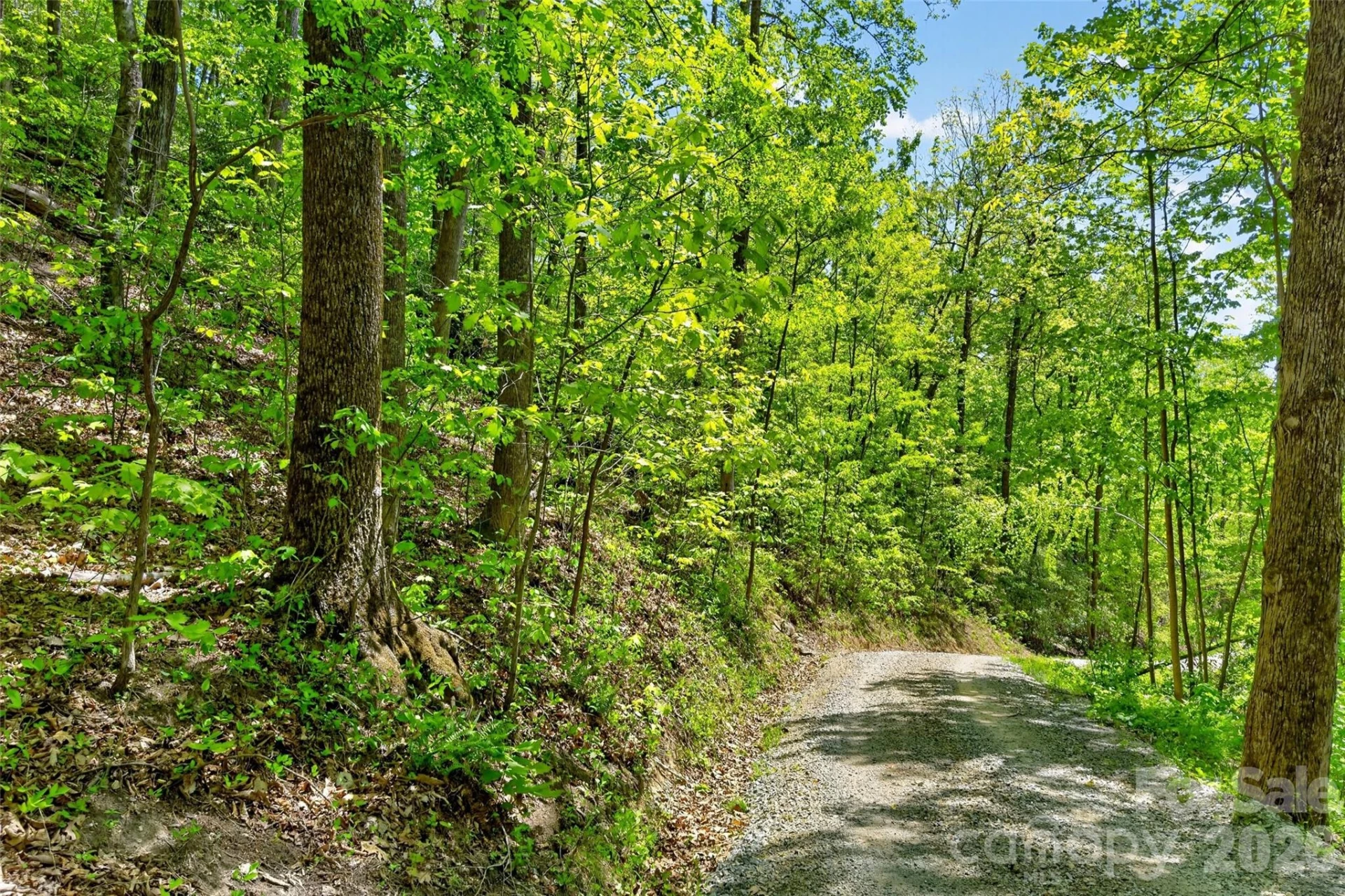 0 Bobcat Drive #741 - Photo 21