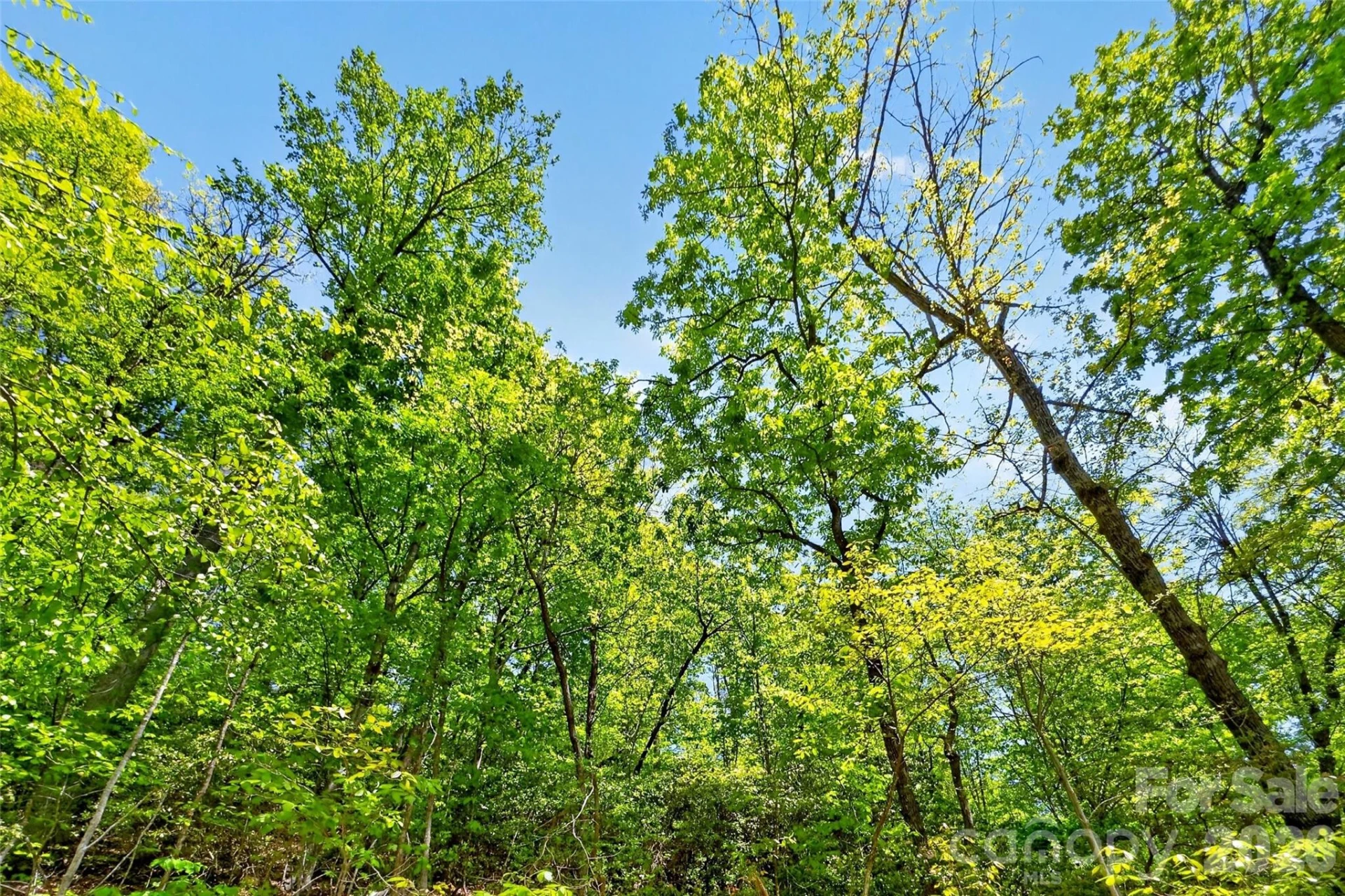 0 Bobcat Drive #741 - Photo 24