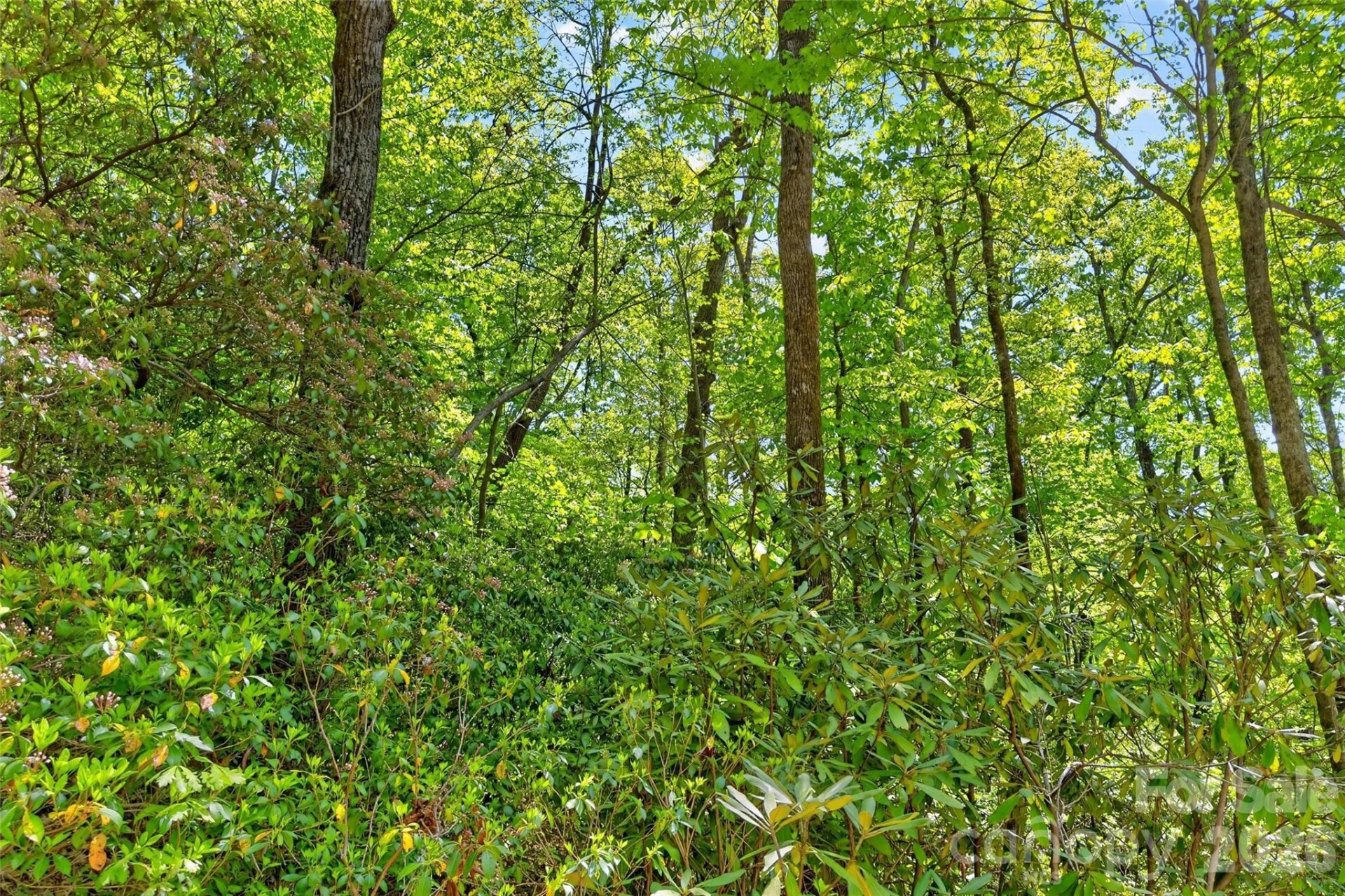 0 Bobcat Drive #741 - Photo 26