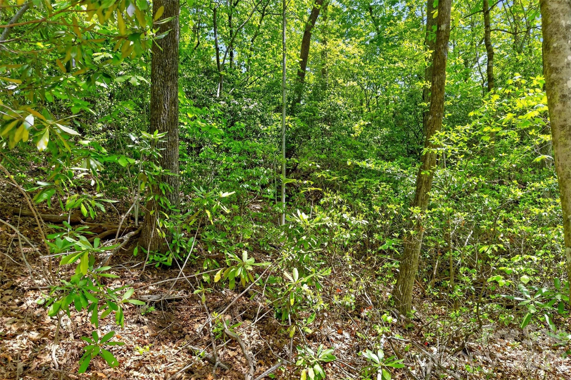 0 Bobcat Drive #741 - Photo 29