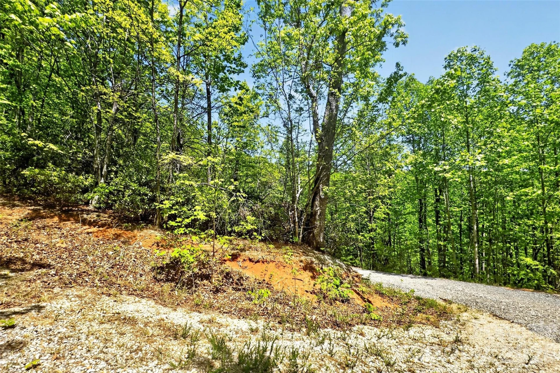 0 Bobcat Drive #741 - Photo 6