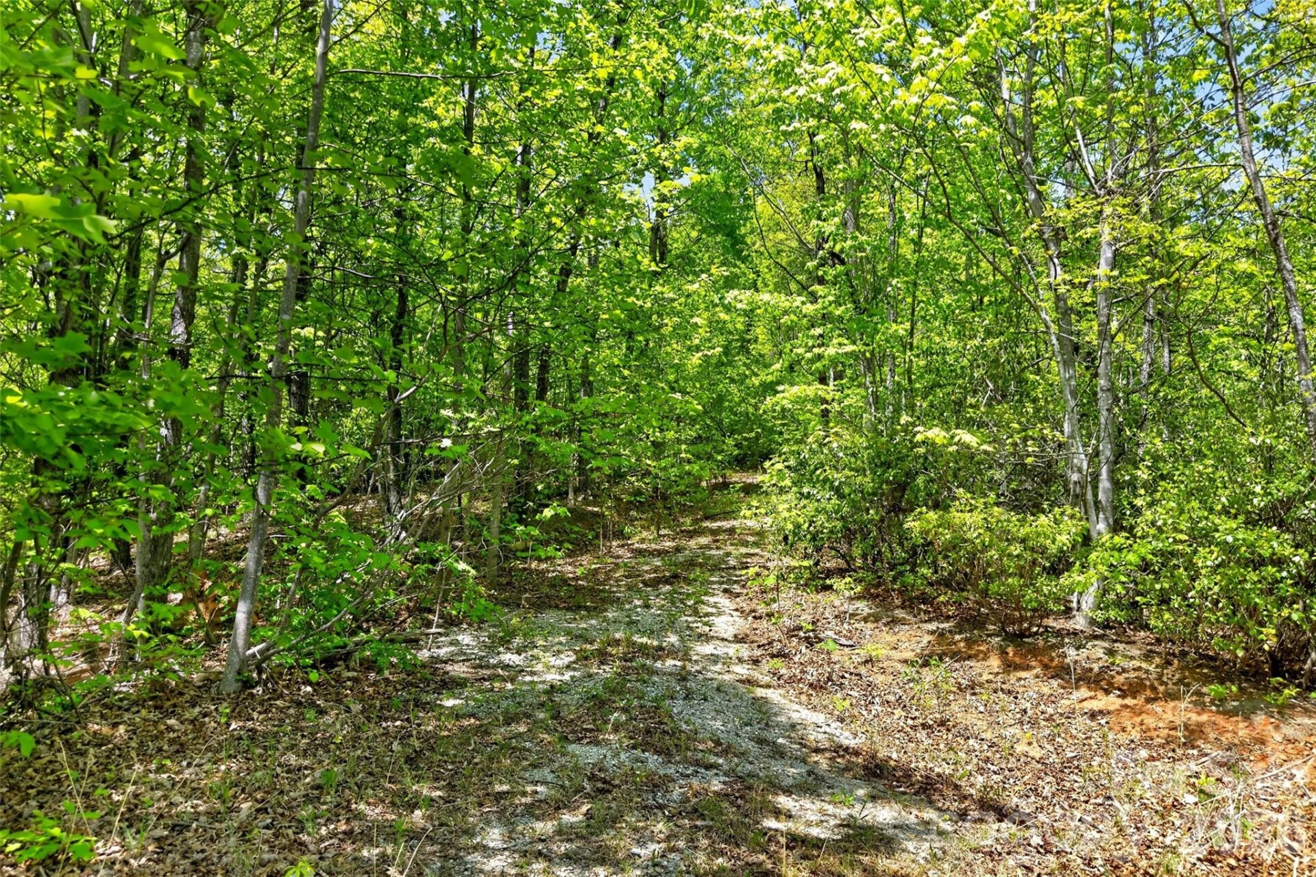0 Bobcat Drive #741 - Photo 7