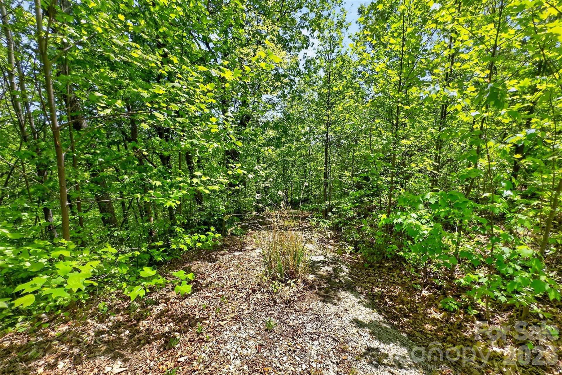 0 Bobcat Drive #741 - Photo 8