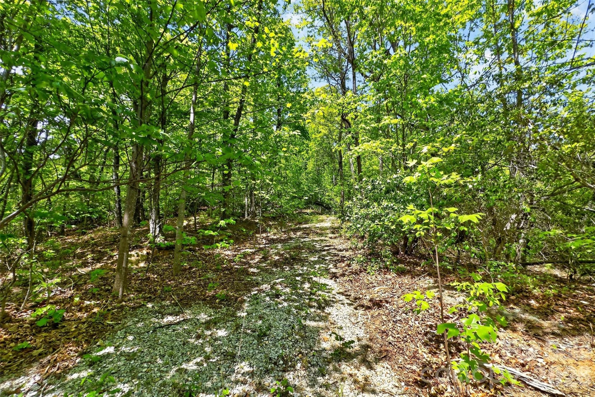 0 Bobcat Drive #741 - Photo 9