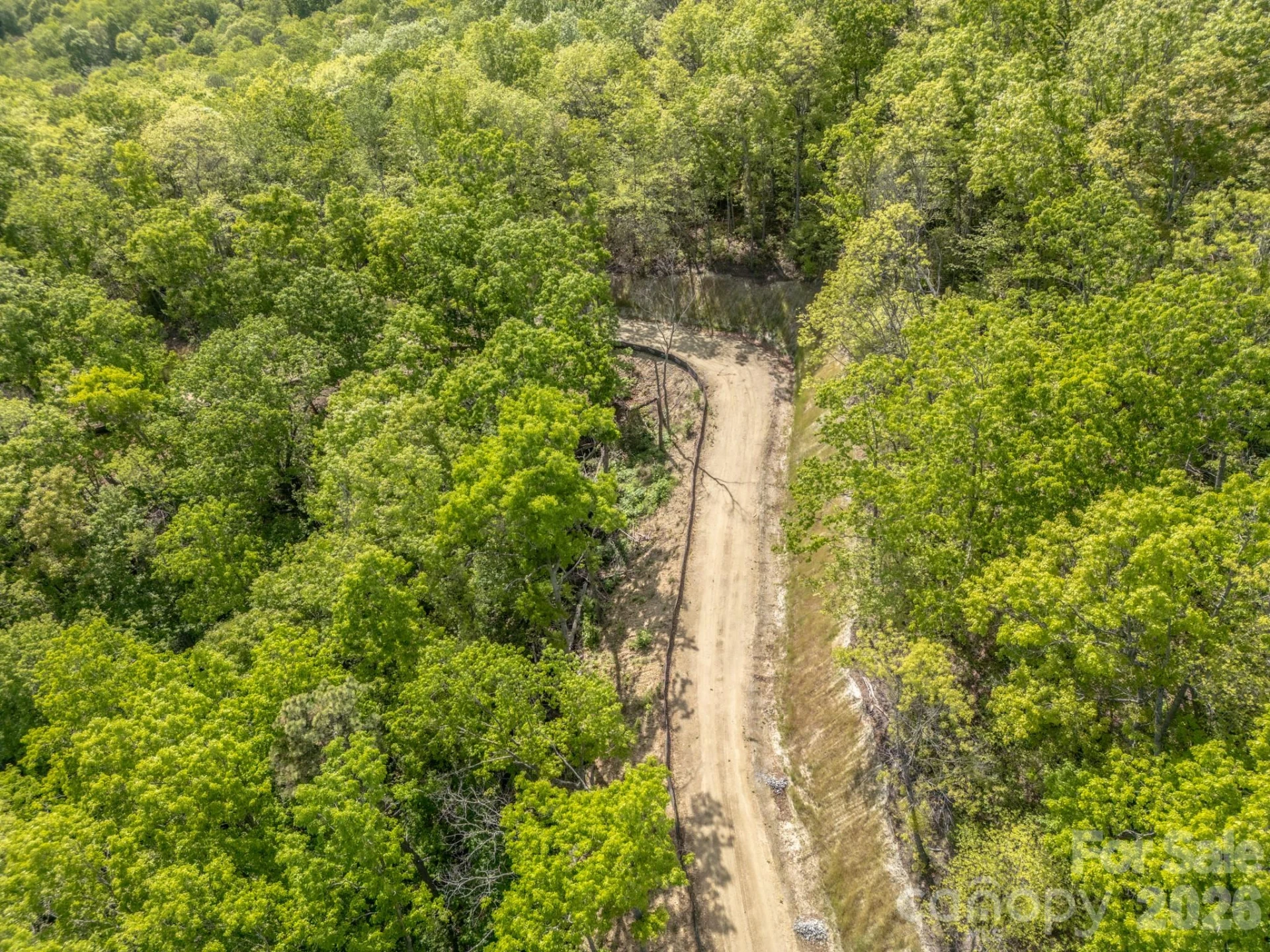 10.1 Acres on Old Fort Road - Photo 2