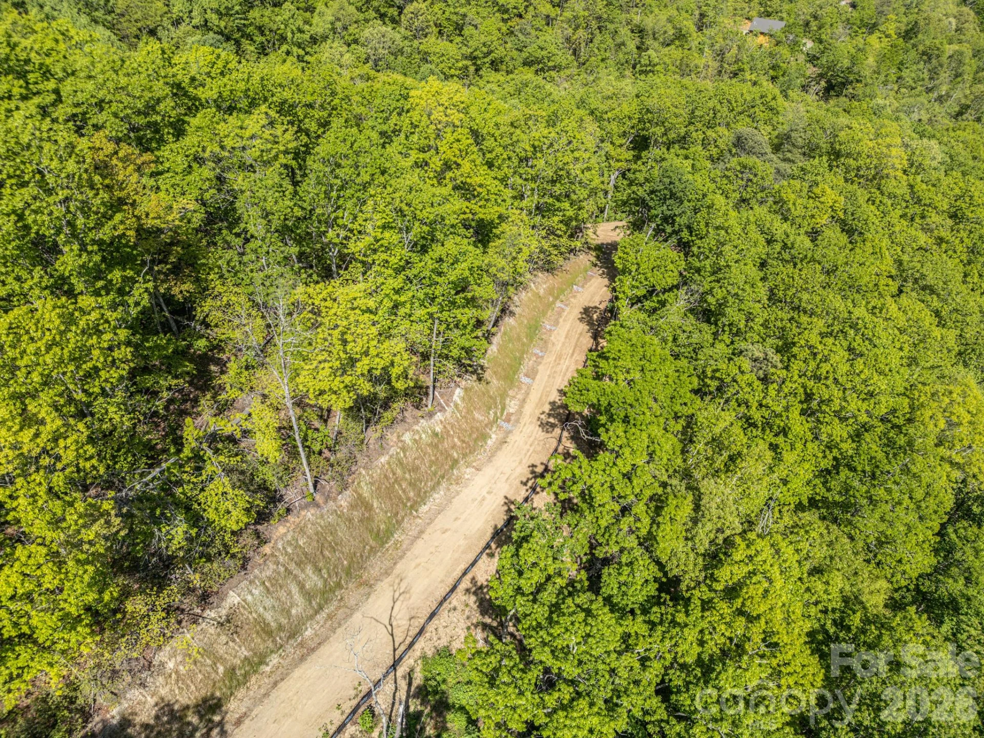 10.1 Acres on Old Fort Road - Photo 11