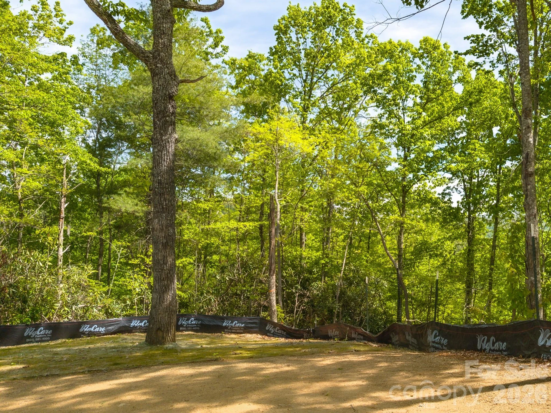10.1 Acres on Old Fort Road - Photo 12