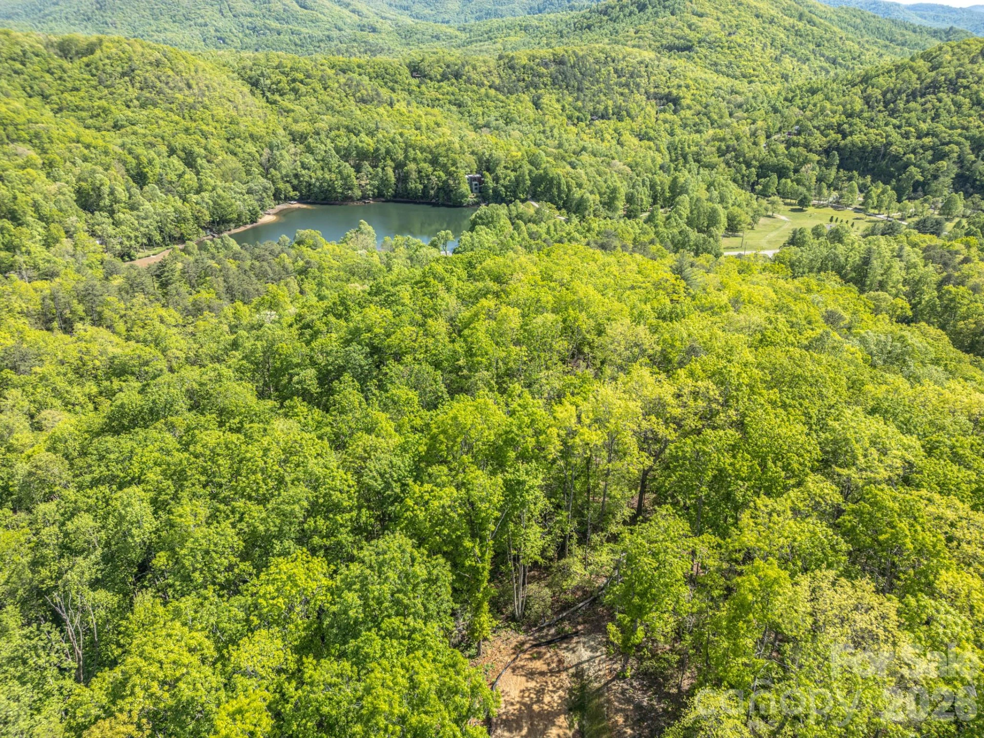 10.1 Acres on Old Fort Road - Photo 13