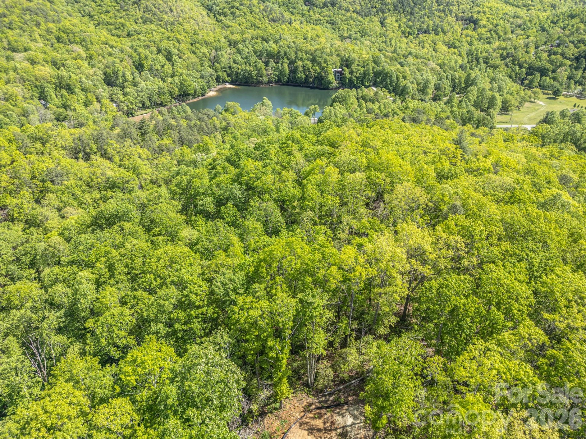 10.1 Acres on Old Fort Road - Photo 14