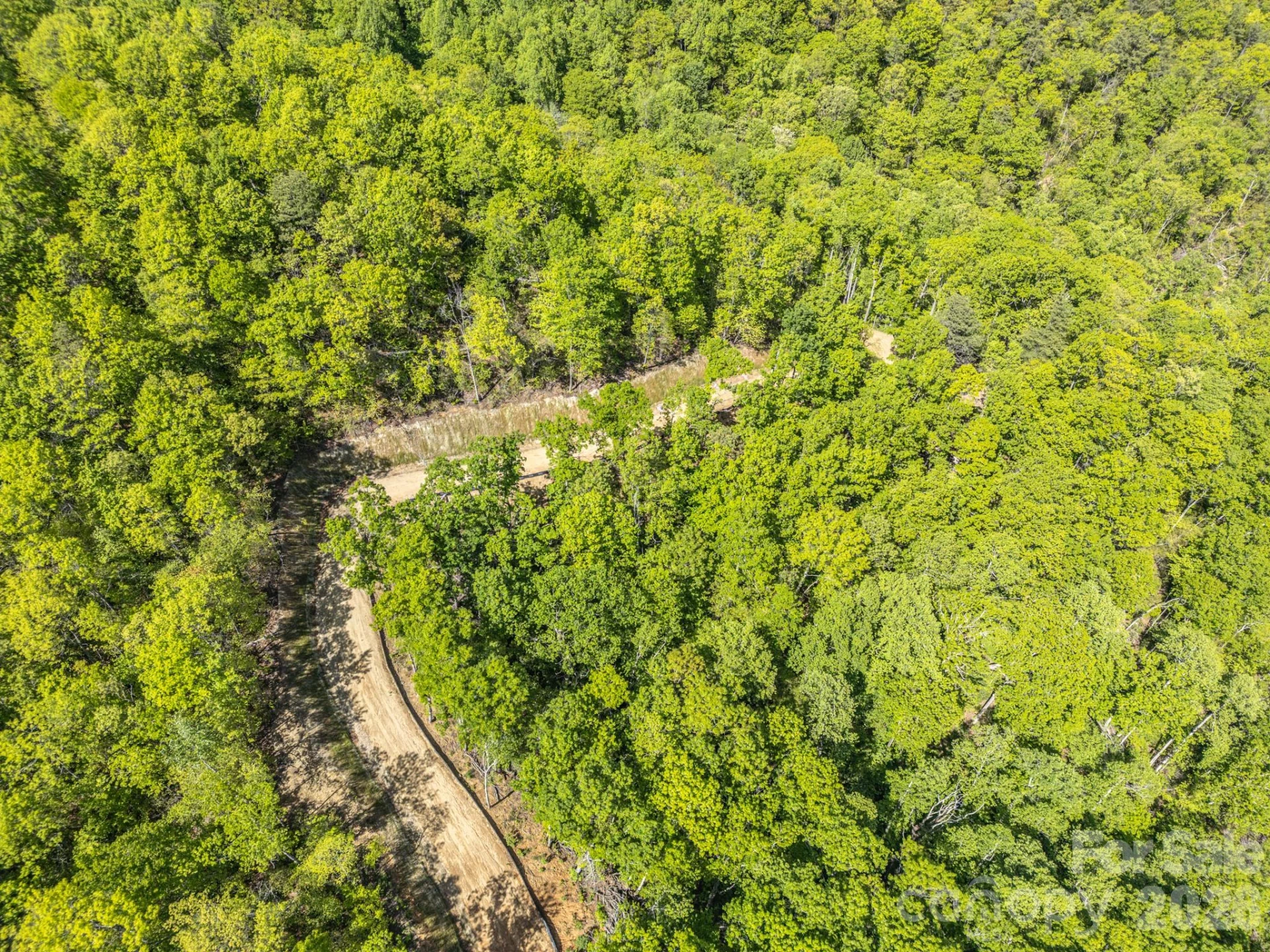 10.1 Acres on Old Fort Road - Photo 17