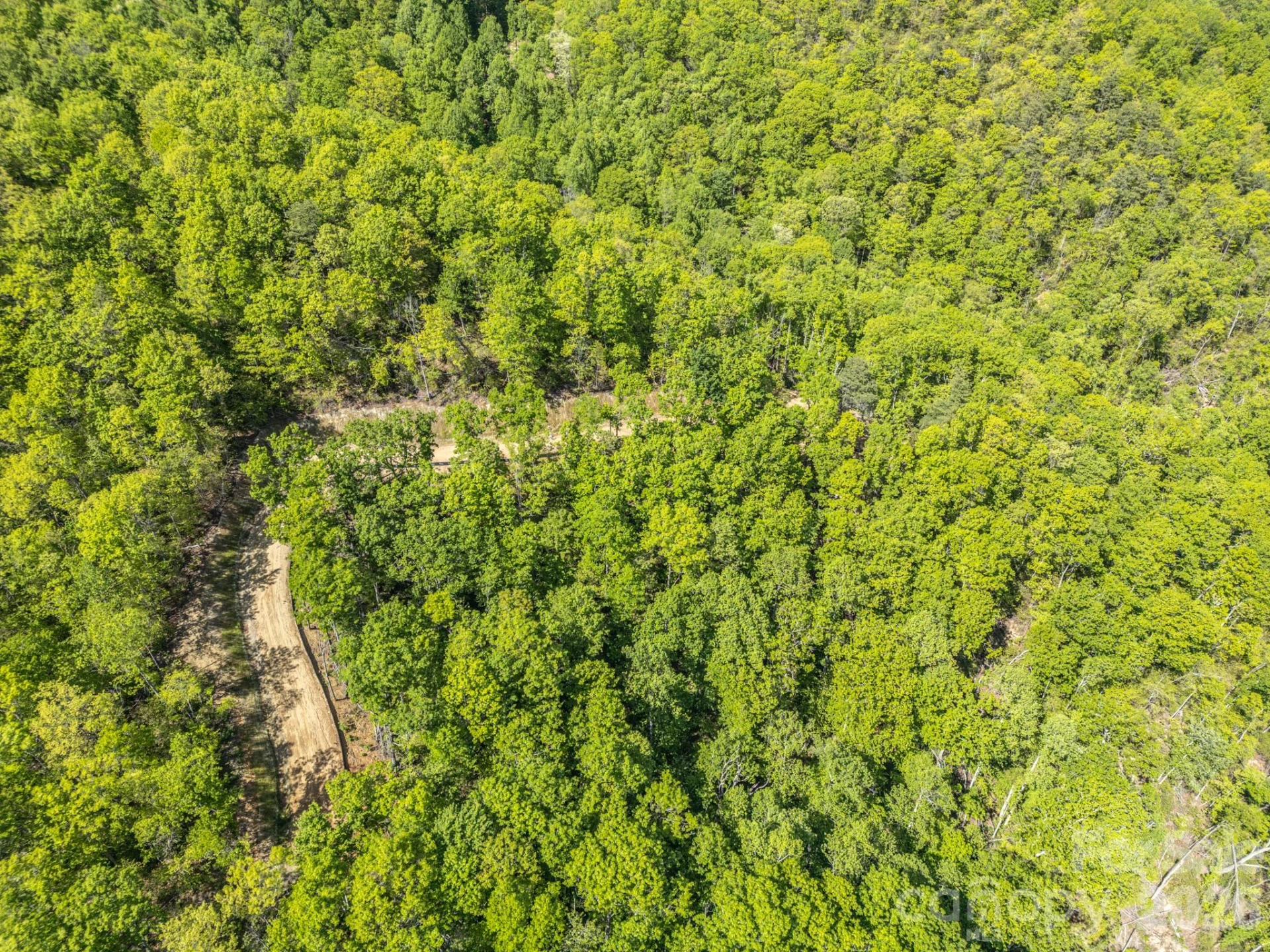 10.1 Acres on Old Fort Road - Photo 18