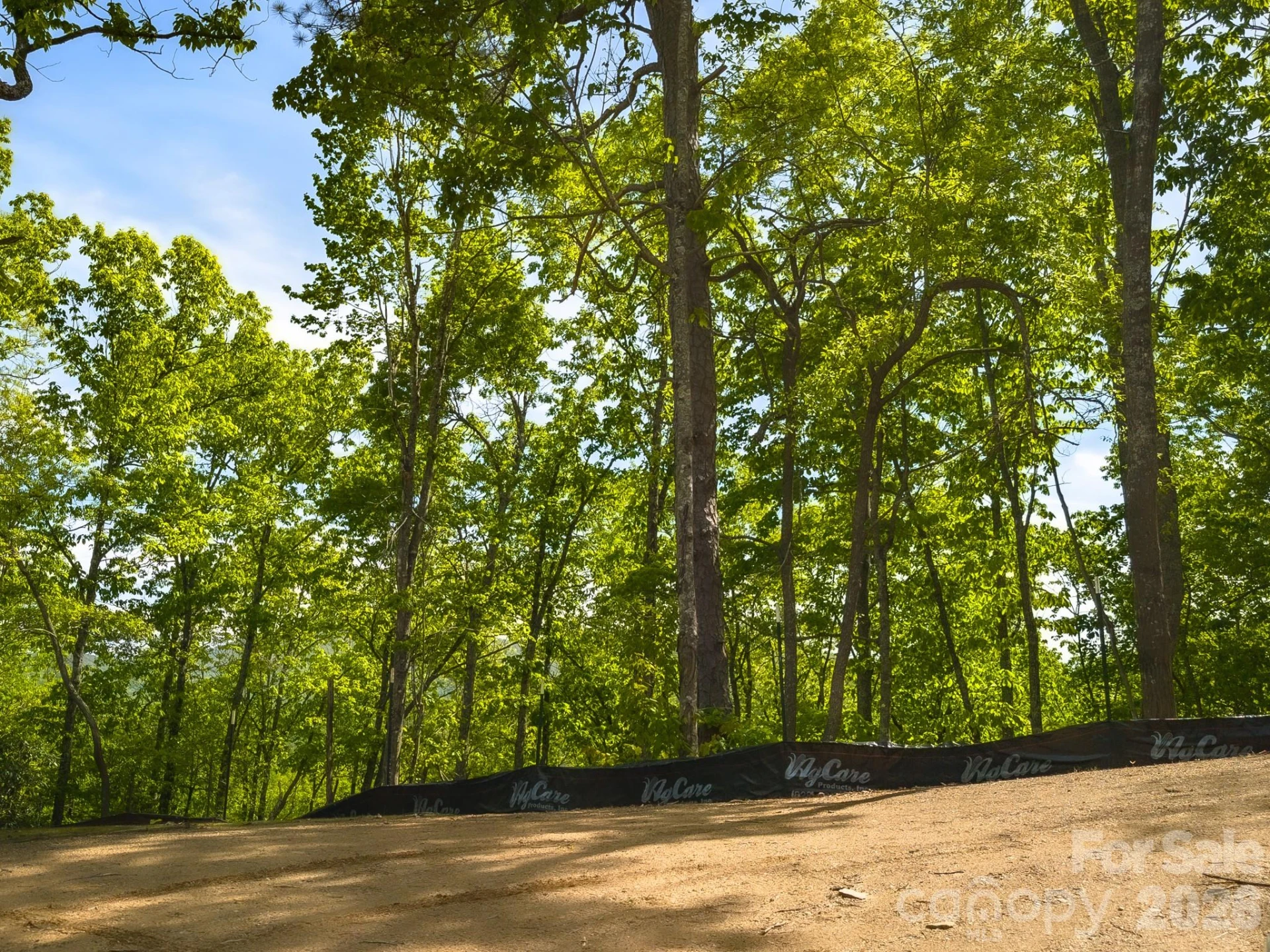 10.1 Acres on Old Fort Road - Photo 19