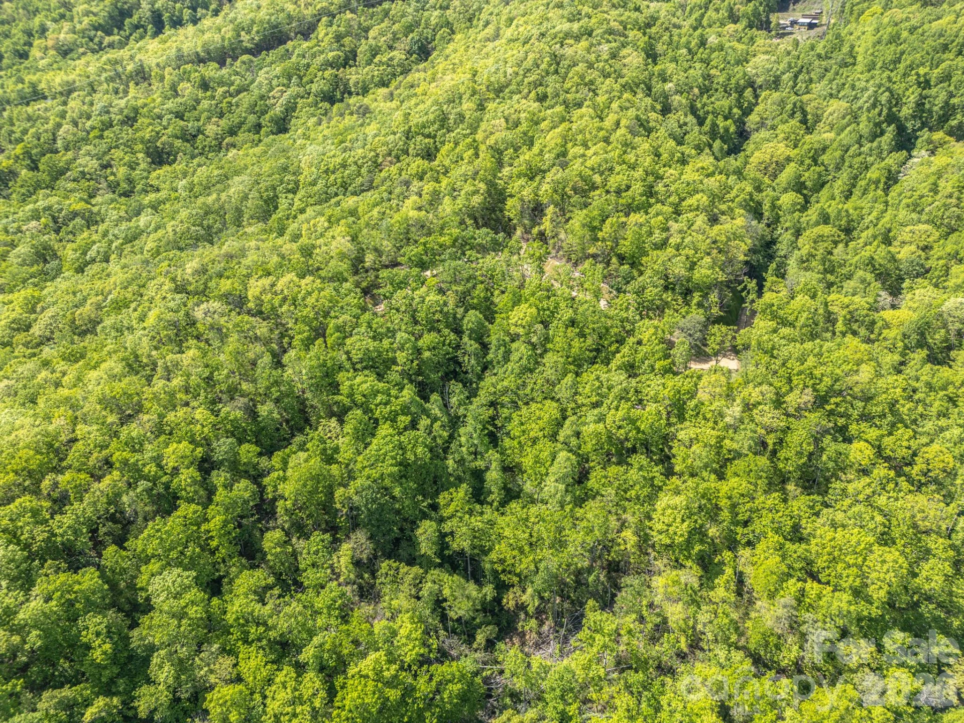 10.1 Acres on Old Fort Road - Photo 20