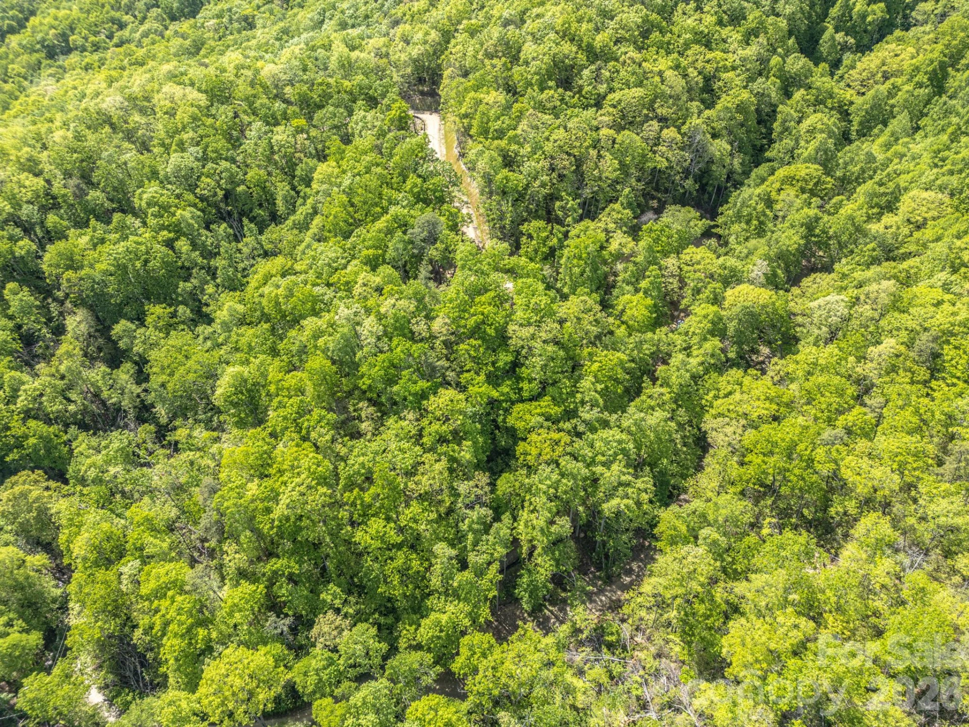 10.1 Acres on Old Fort Road - Photo 22