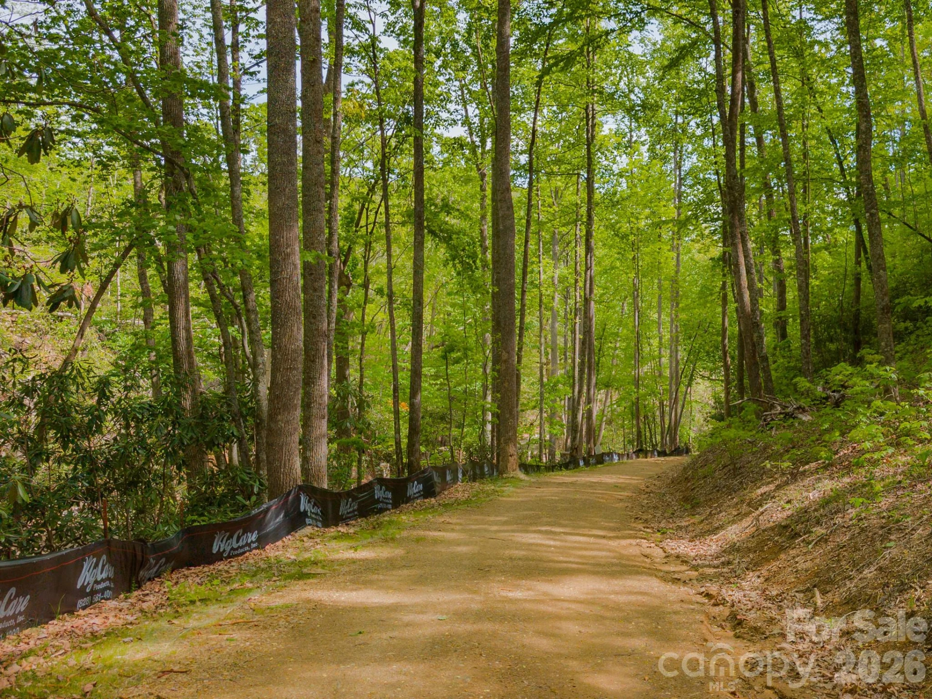 10.1 Acres on Old Fort Road - Photo 24