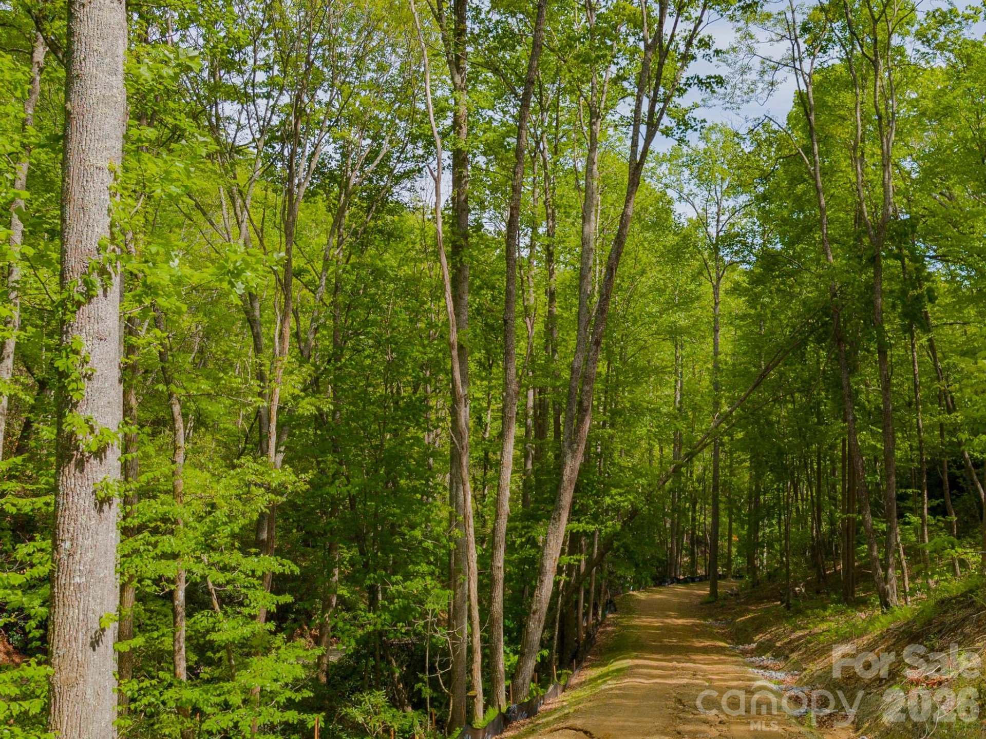 10.1 Acres on Old Fort Road - Photo 27