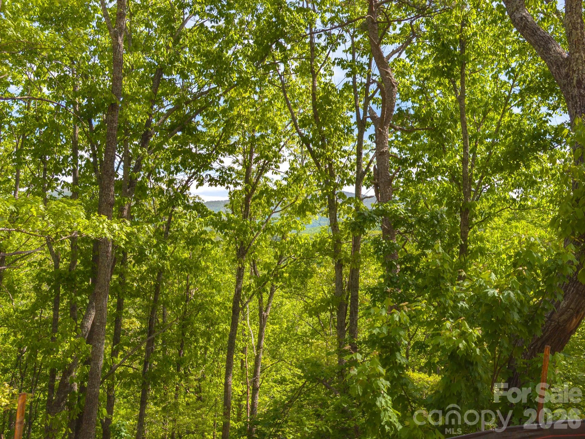 10.1 Acres on Old Fort Road - Photo 28