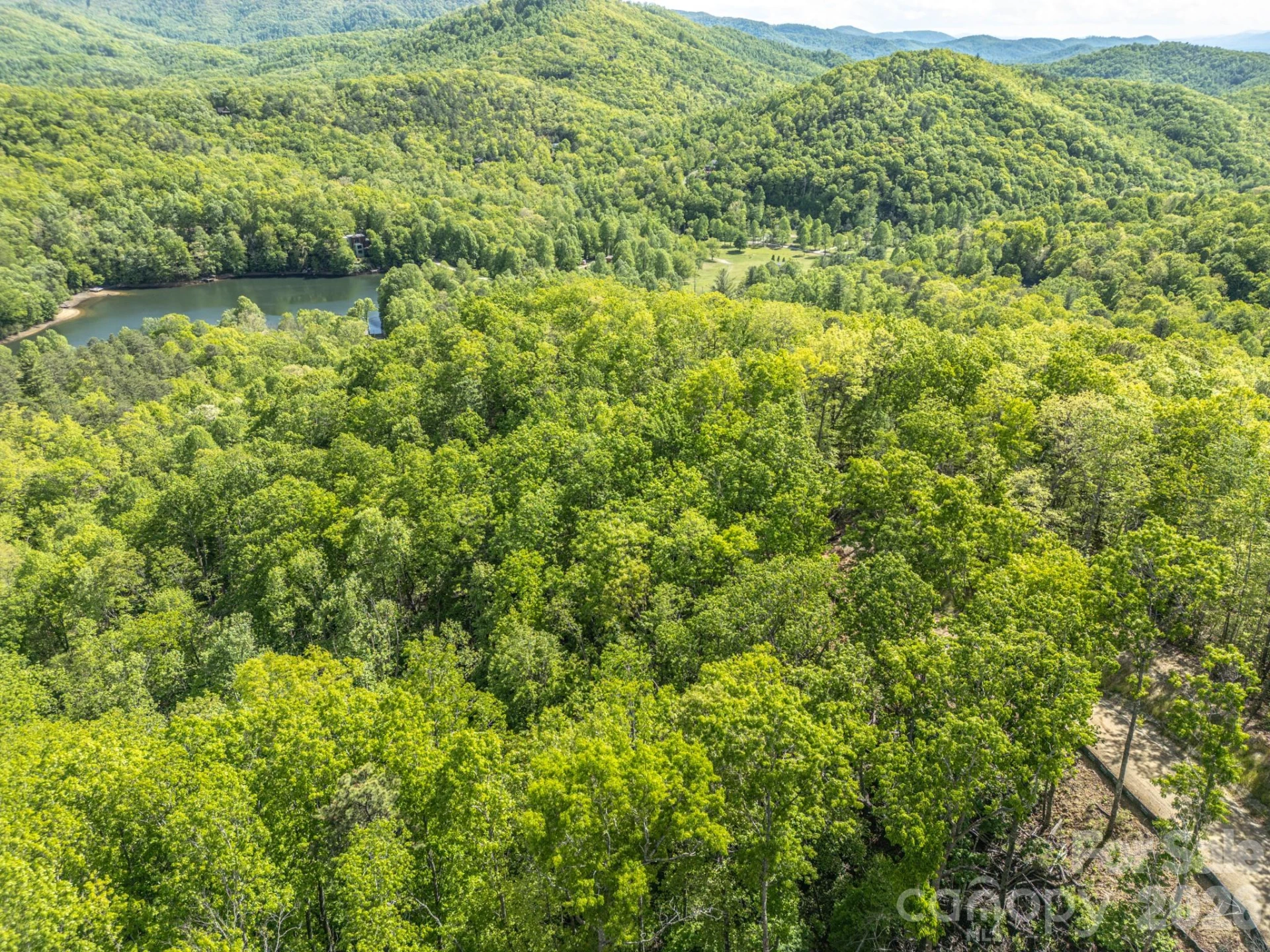 10.1 Acres on Old Fort Road - Photo 8