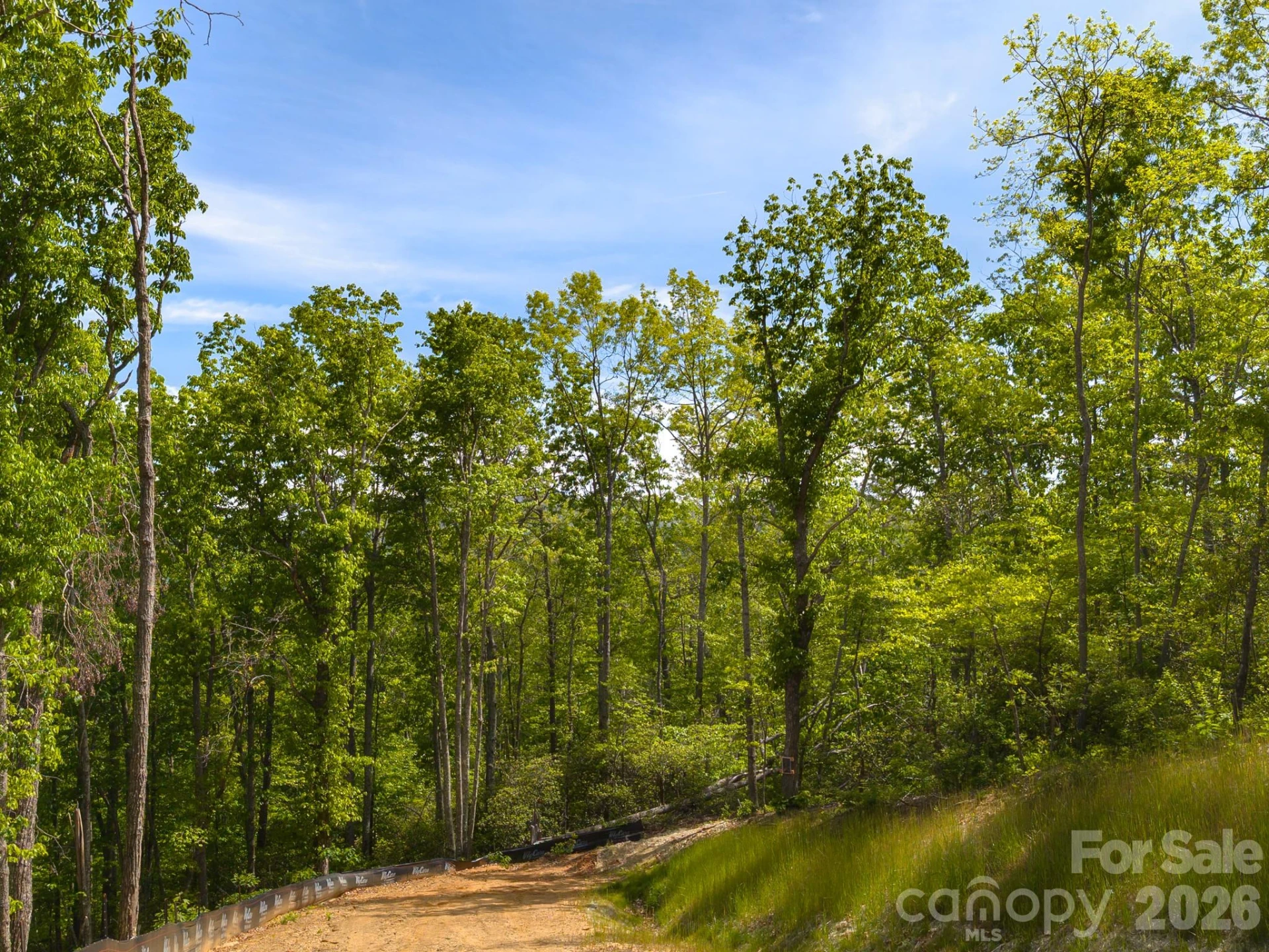 10.1 Acres on Old Fort Road - Photo 9